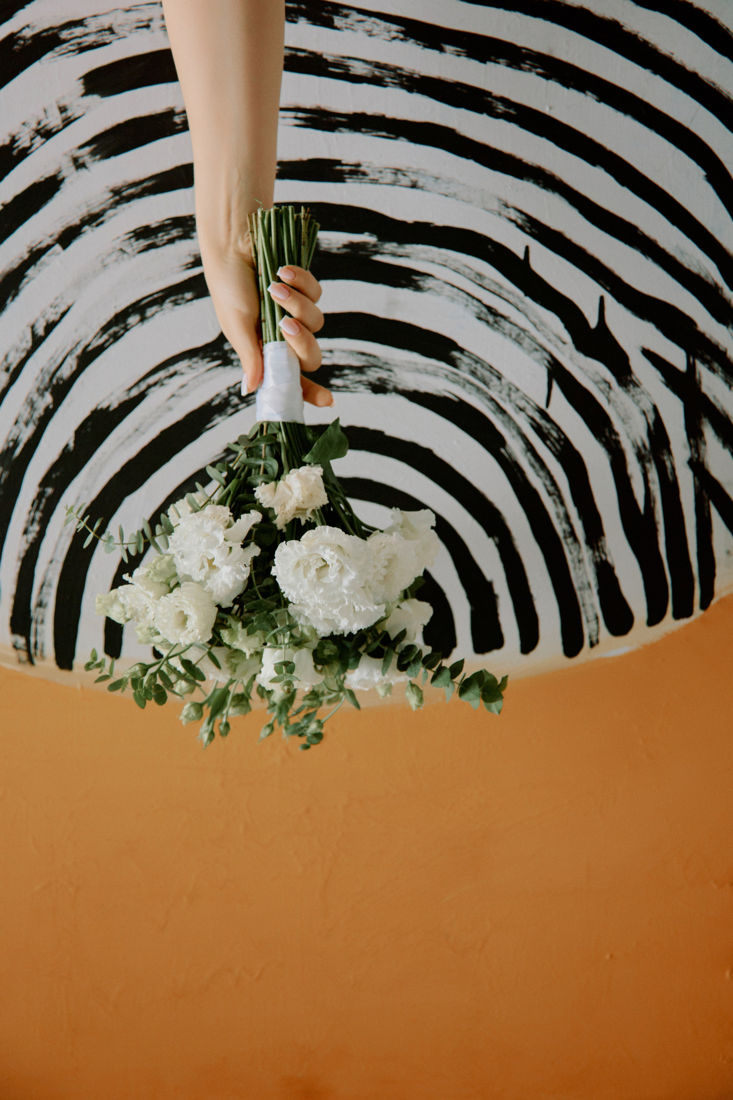 На цыпочках. Фотограф Елена Краснопевцева