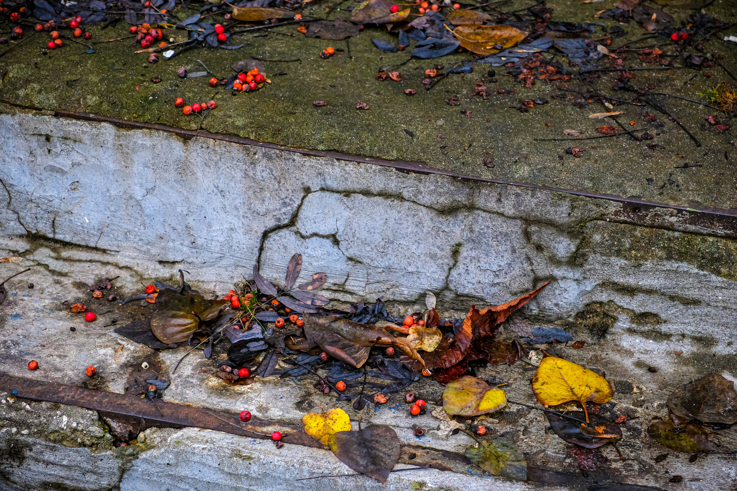 Текстуры. Фотограф в Москве, фотожурналист Александр Малахов