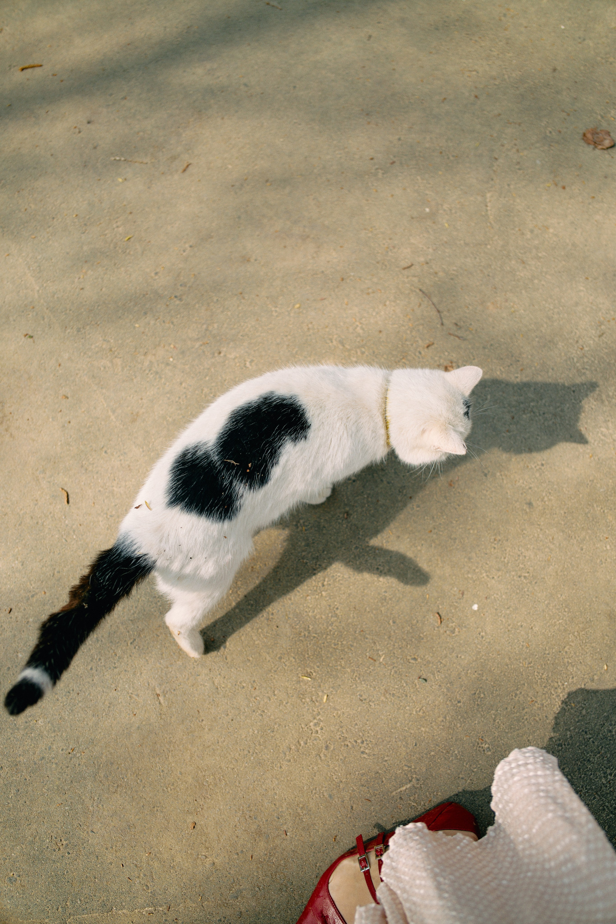 Бутик-отель Поле летом. Профессиональный Фотограф во Владимире, в Москве и в Суздале — Полина Романычева