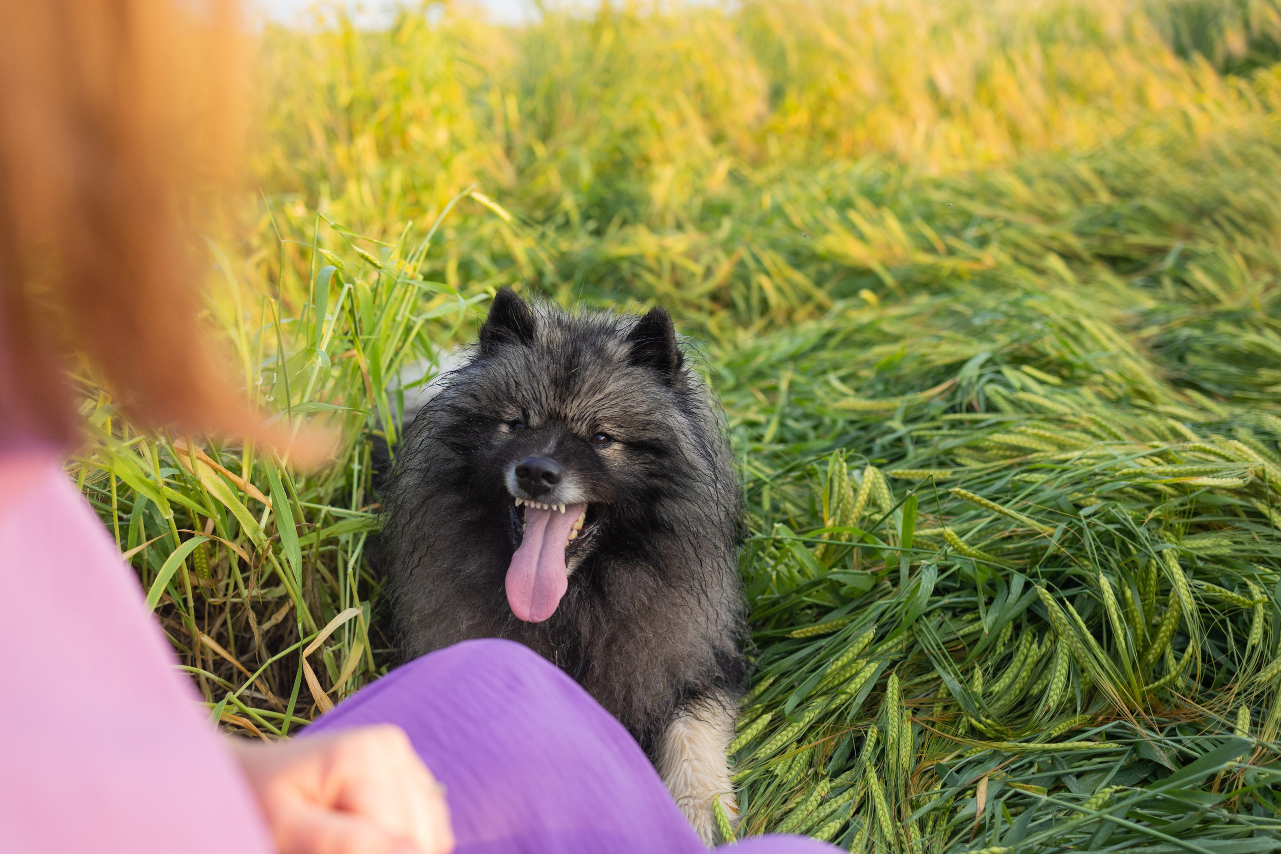Вика, Аксель и Женя. Фотограф Ирина Астор
