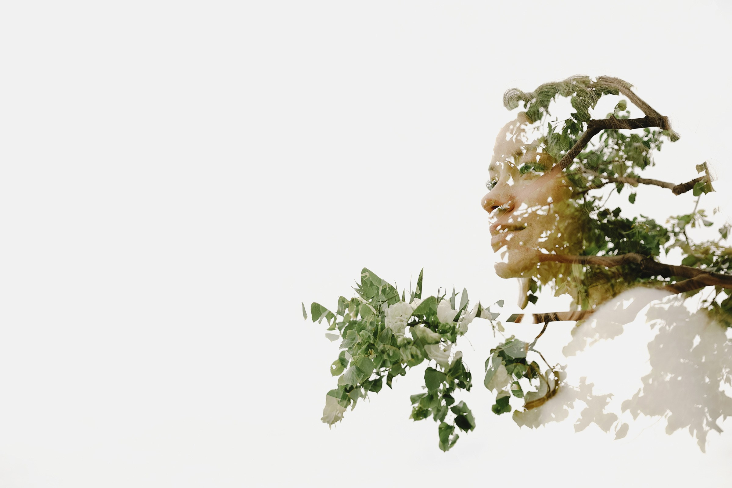 Алексей Анна. Свадебный фотограф и видеограф Дмитрий Горяченков