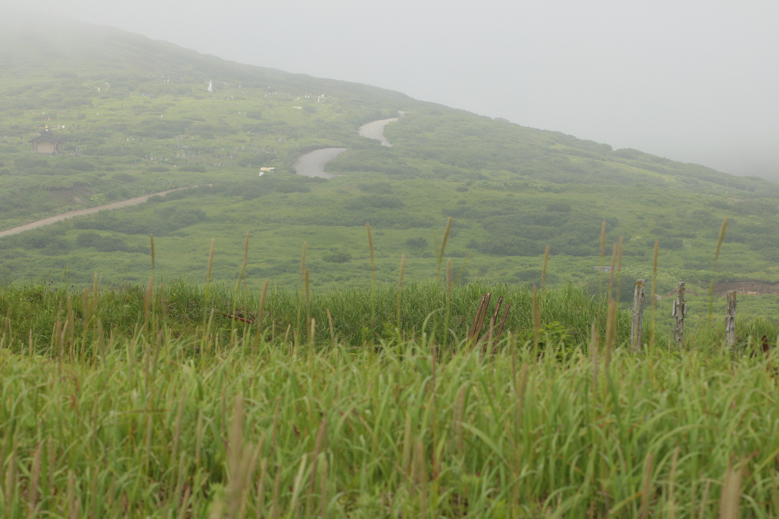 Камчатка и о. Парамушир. Июль 2024. Путешественник-фотограф из Санкт-Петербурга Татьяна Свистулина