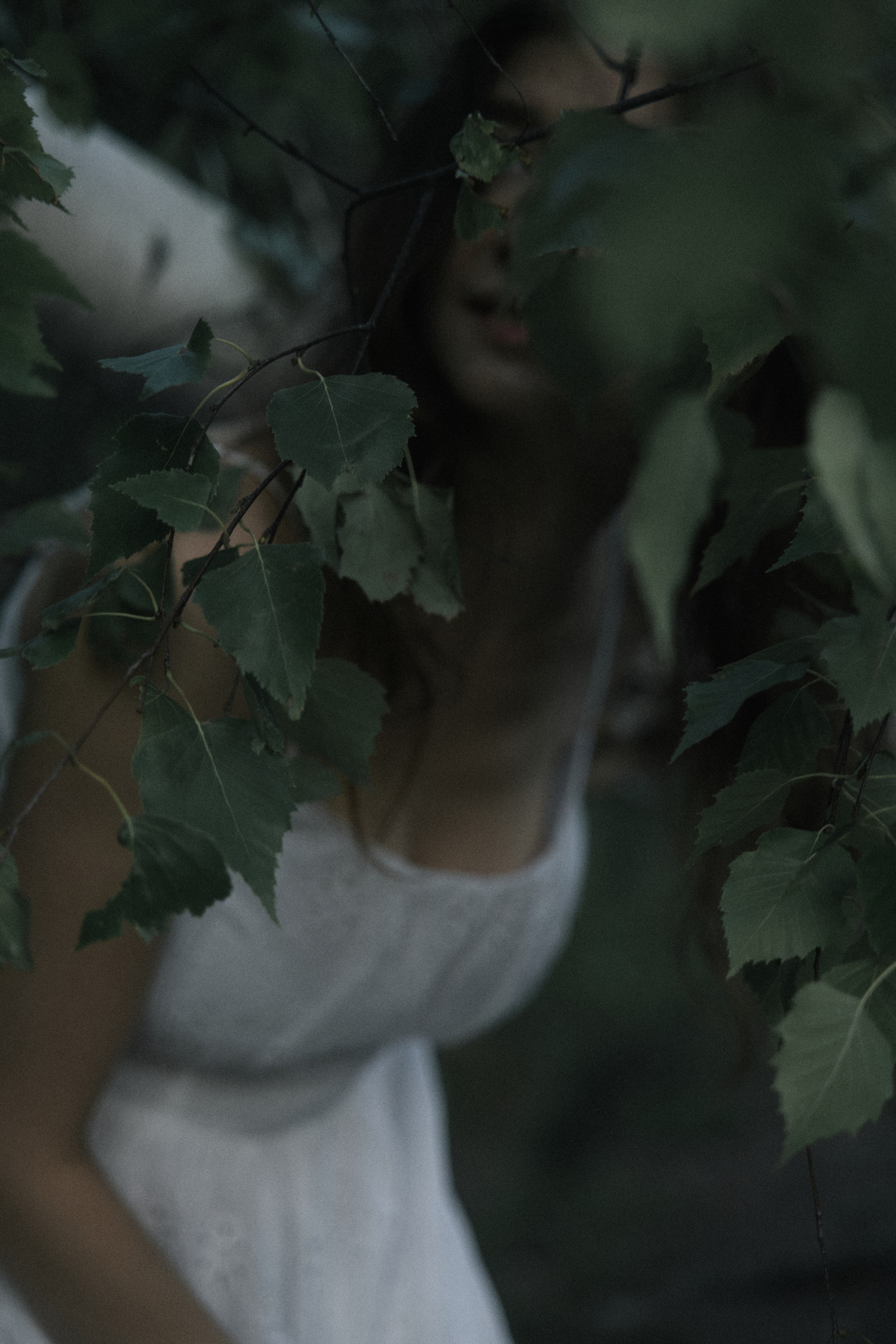 Kate river. Главная