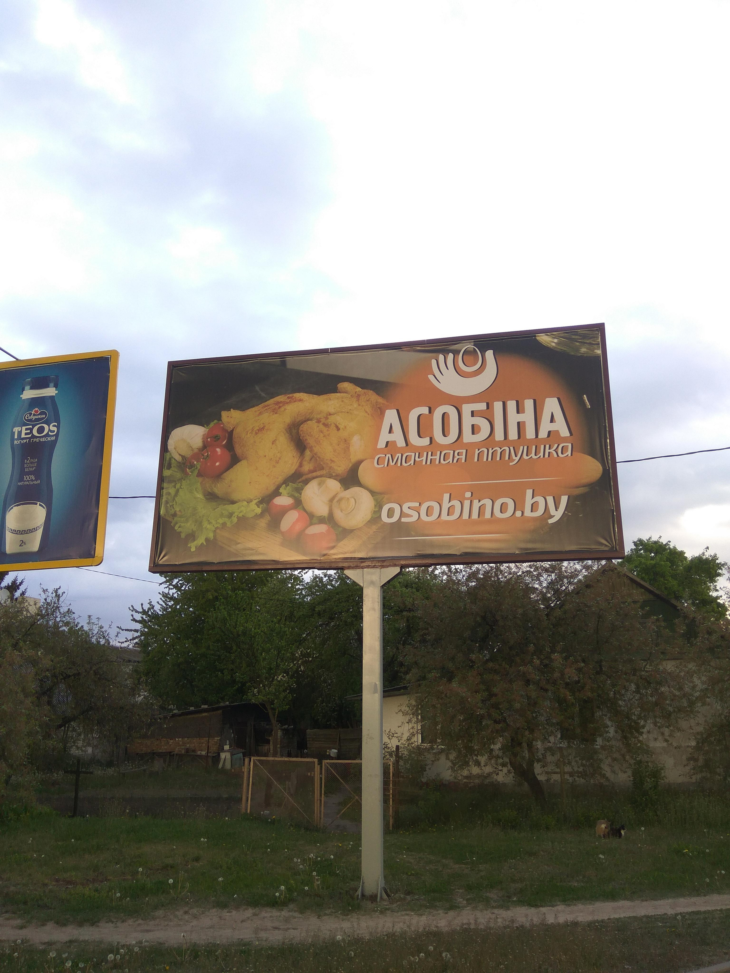 курица, особино, асобiна, биллборд, asobina.by