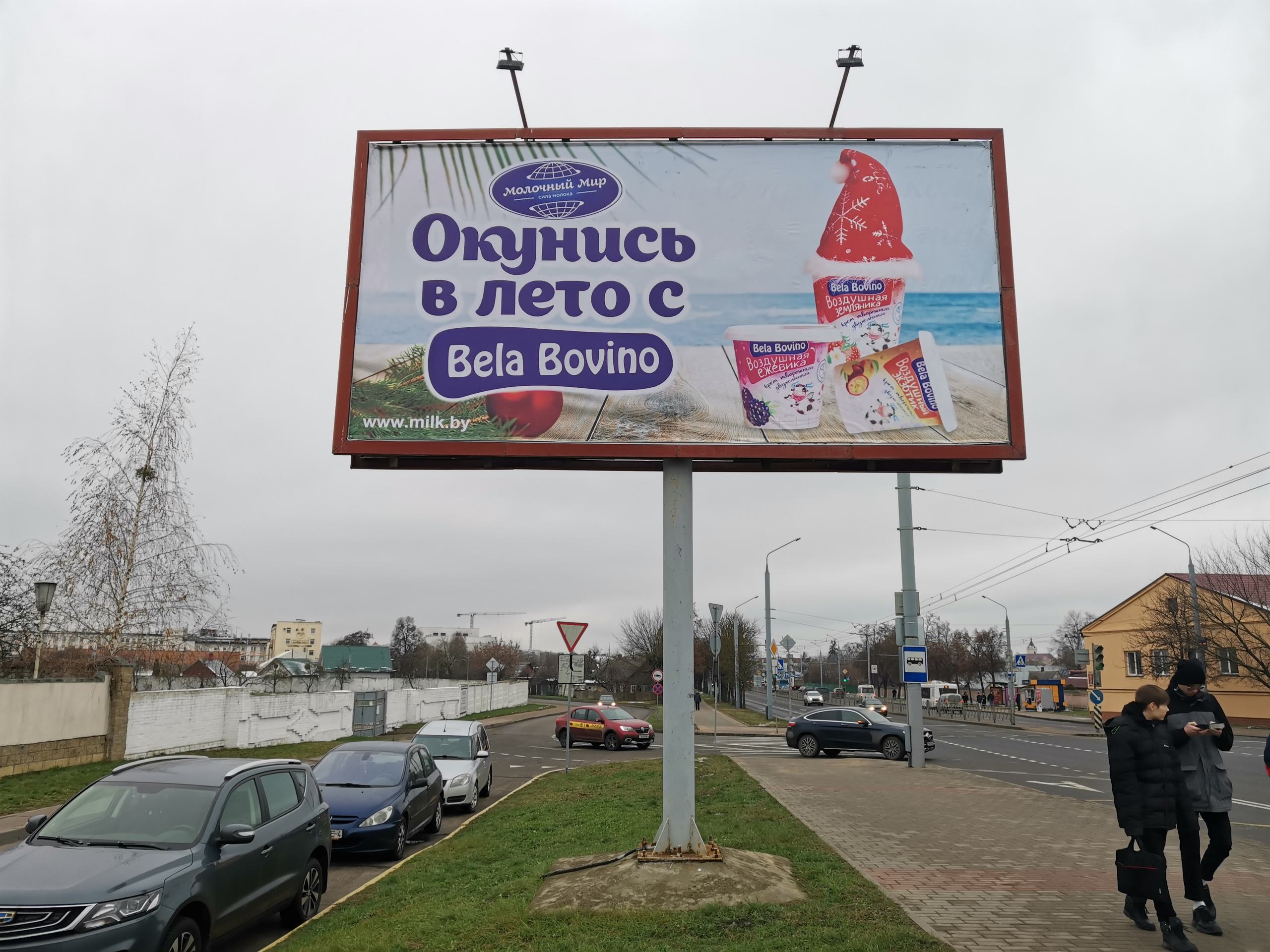 молочный мир, bela bovino, биллборд, argocreative, 
