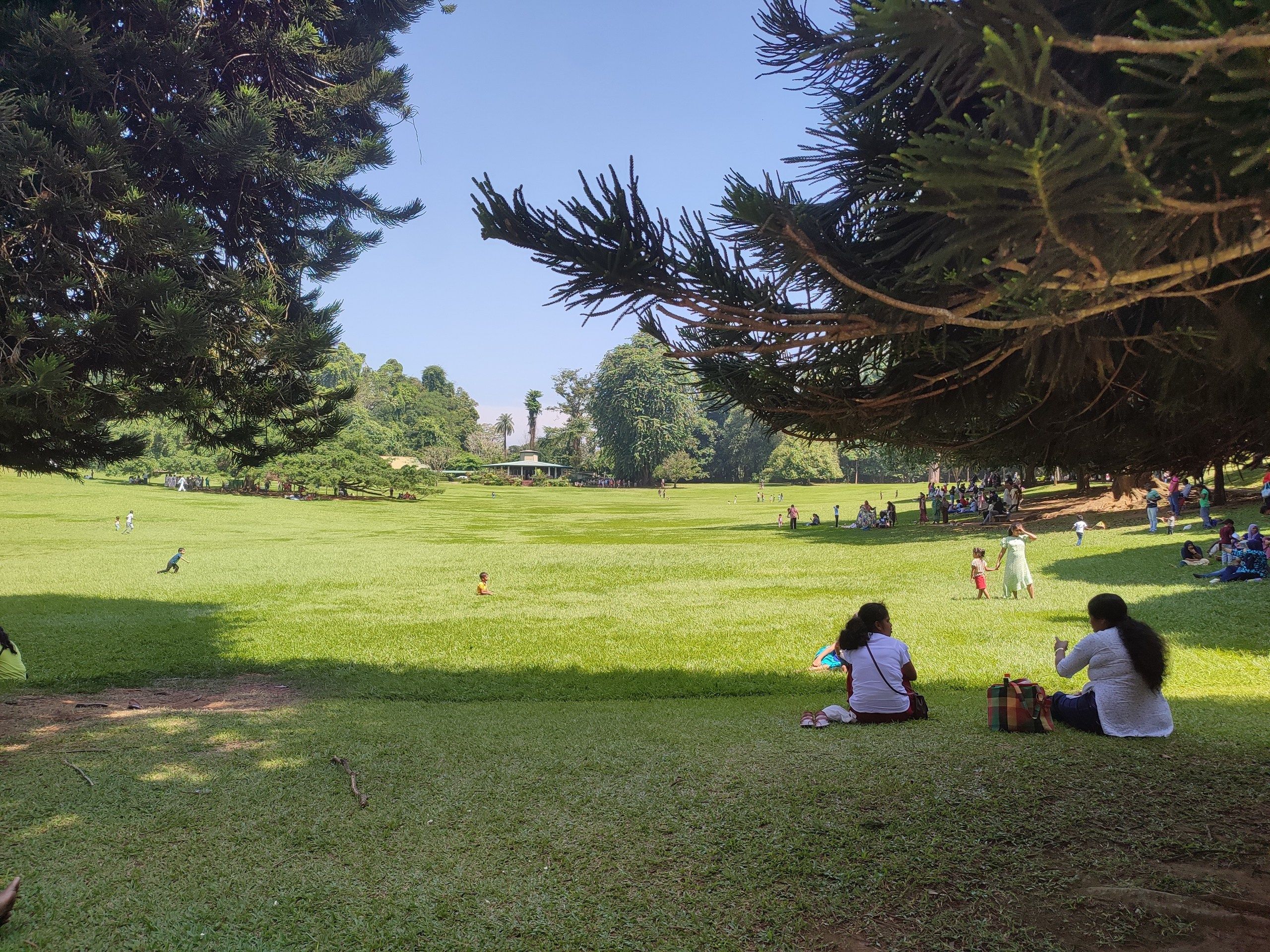 Шри-Ланка | 31.01 — 10.02.2025. Галерея Фантим