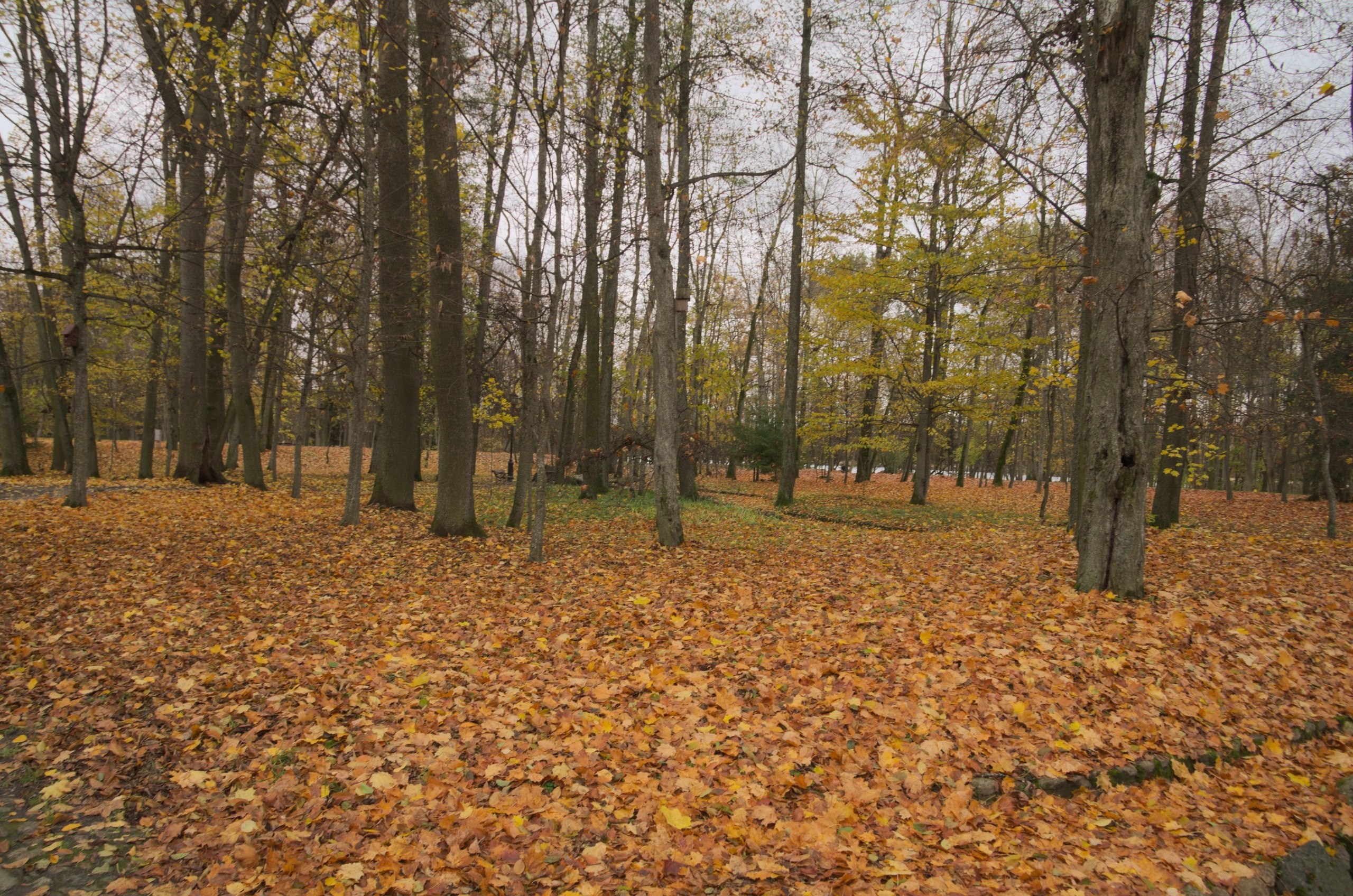 Минск | 27-29.08.2017. Галерея Фантим