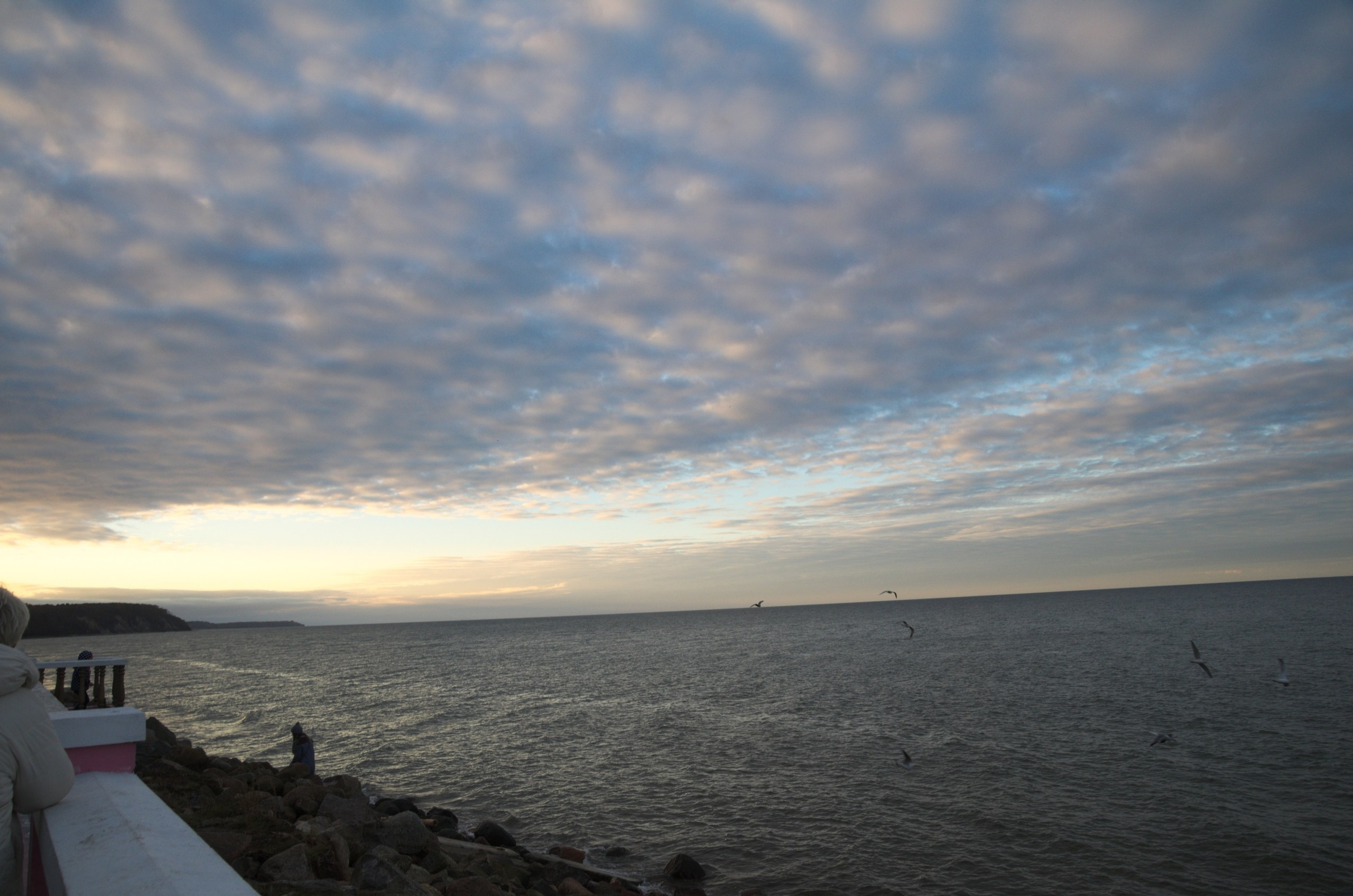 Калининград | 03-05.11.2018. Галерея Фантим