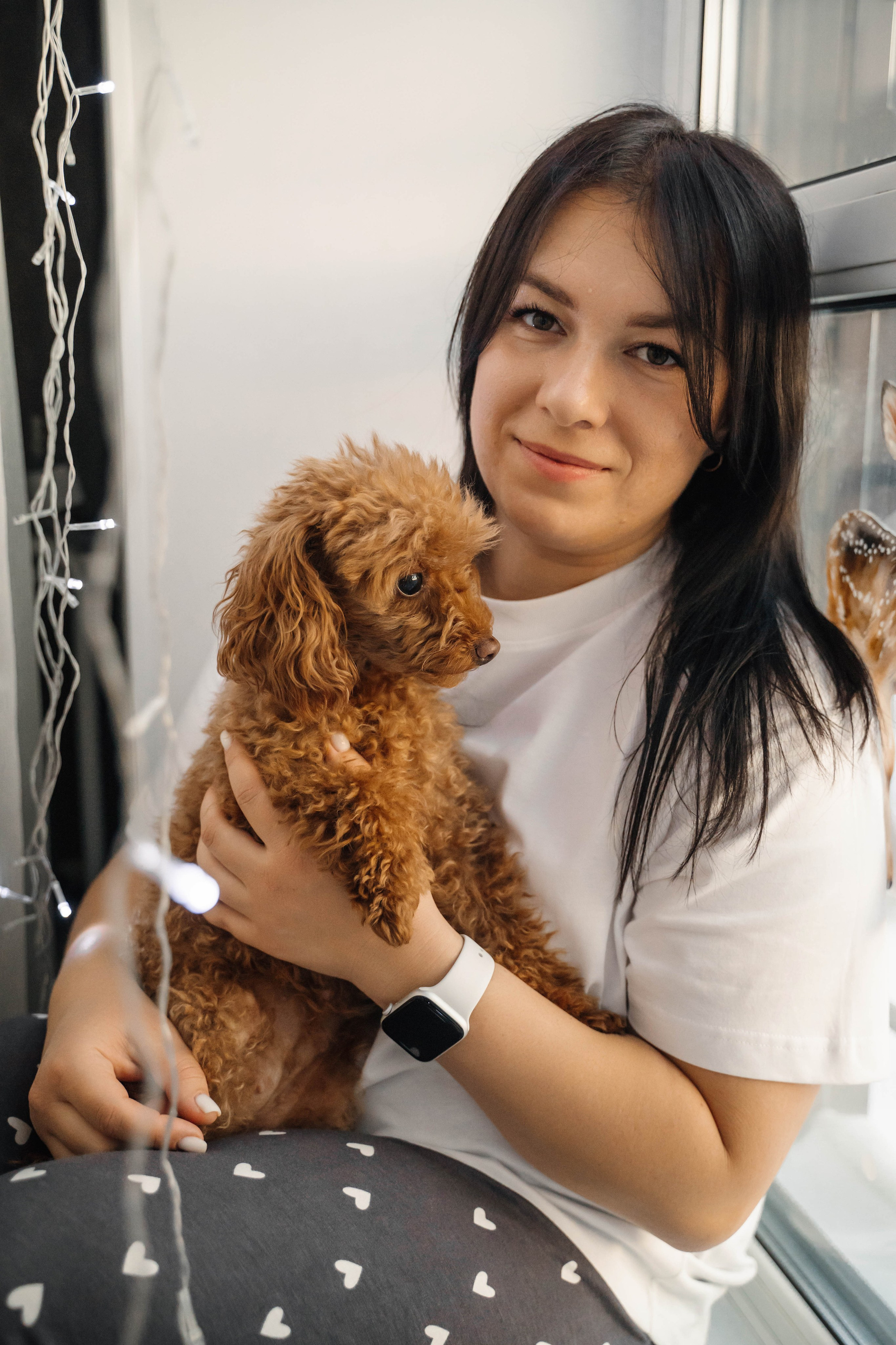 Предновогодний вечер. Главная