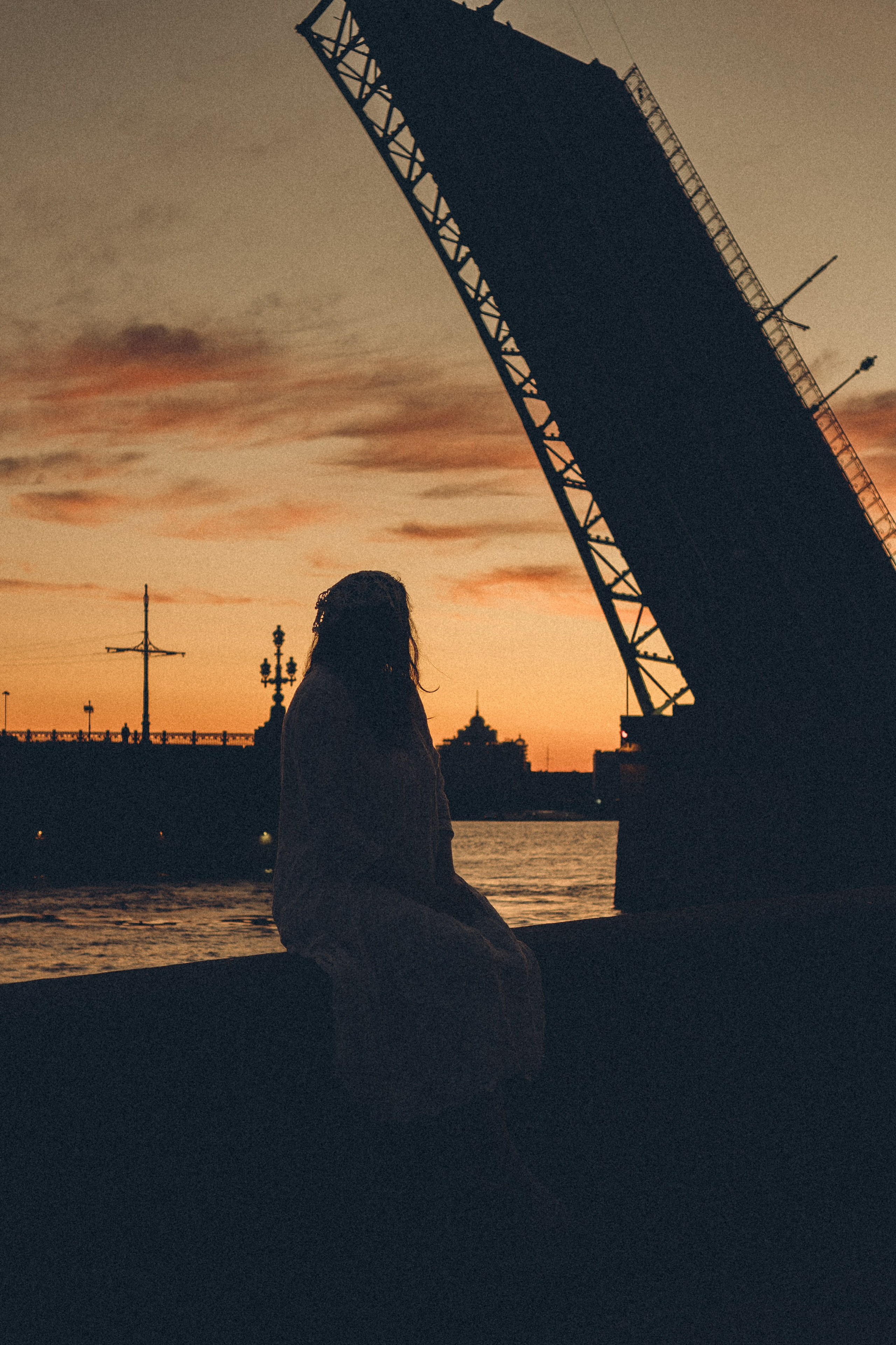 РАССВЕТ С РАЗВОДНЫМИ МОСТАМИ. Профессиональный фотограф, Санкт-Петербург — Виктория Богомолова