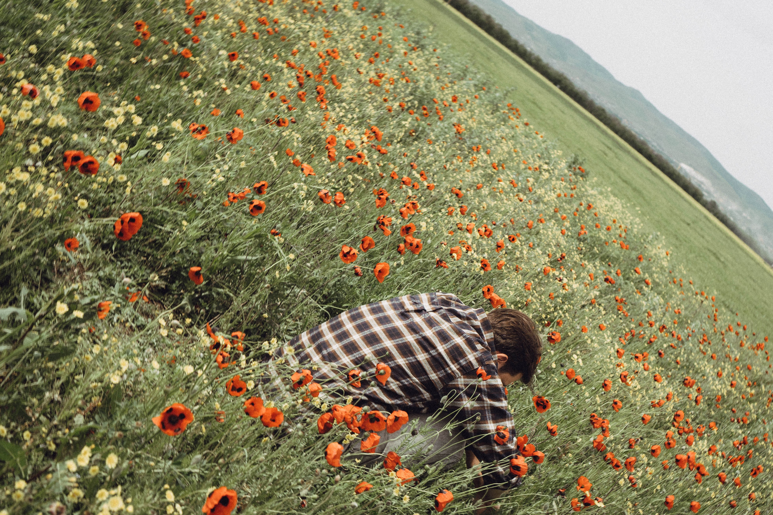 Маки. Профессиональный фотограф, Санкт-Петербург — Виктория Богомолова