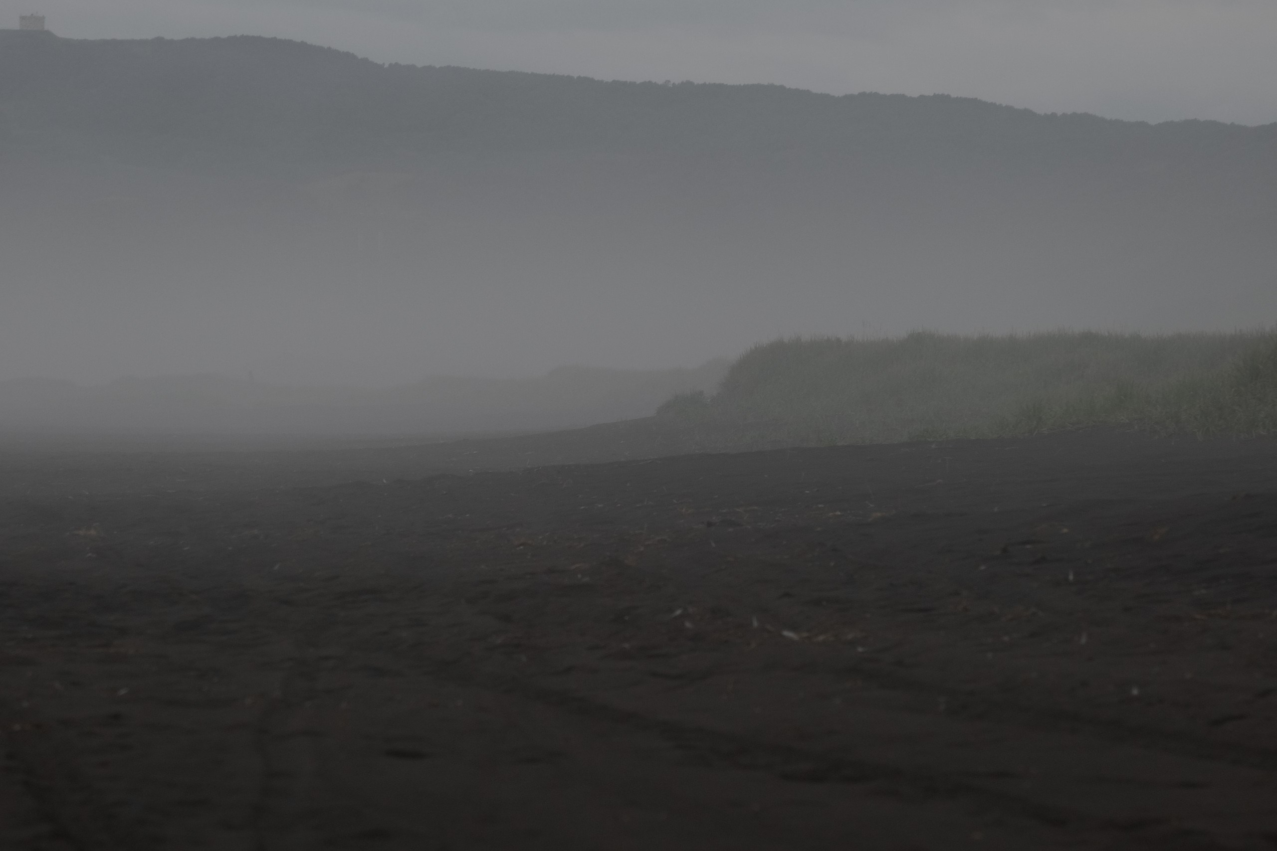 ЛЮБОВЬ НА БЕРЕГУ ОКЕАНА  FUJIFILM. Профессиональный фотограф, Санкт-Петербург — Виктория Богомолова