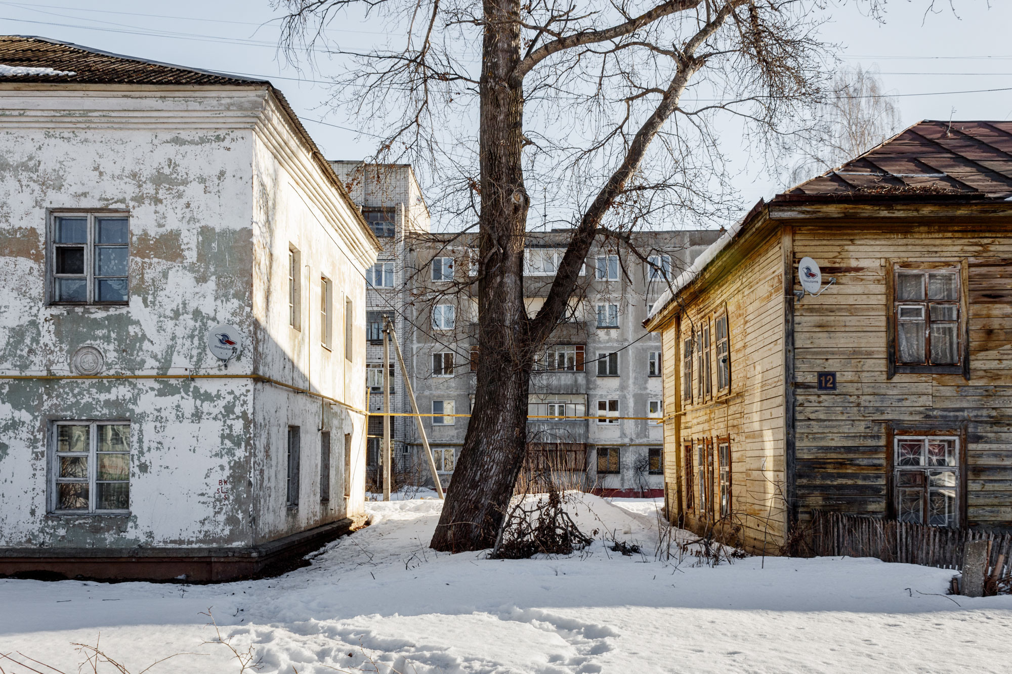 Два старых, духэтажных дома, а между ними высокое дерево.