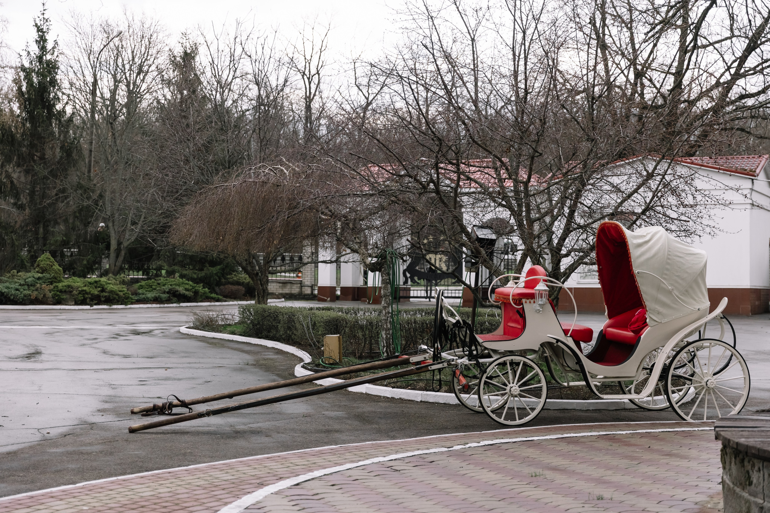 День Орловского рысака. Парк-отель Яр. Свадебный, репортажный фотограф Ирина Шкурина