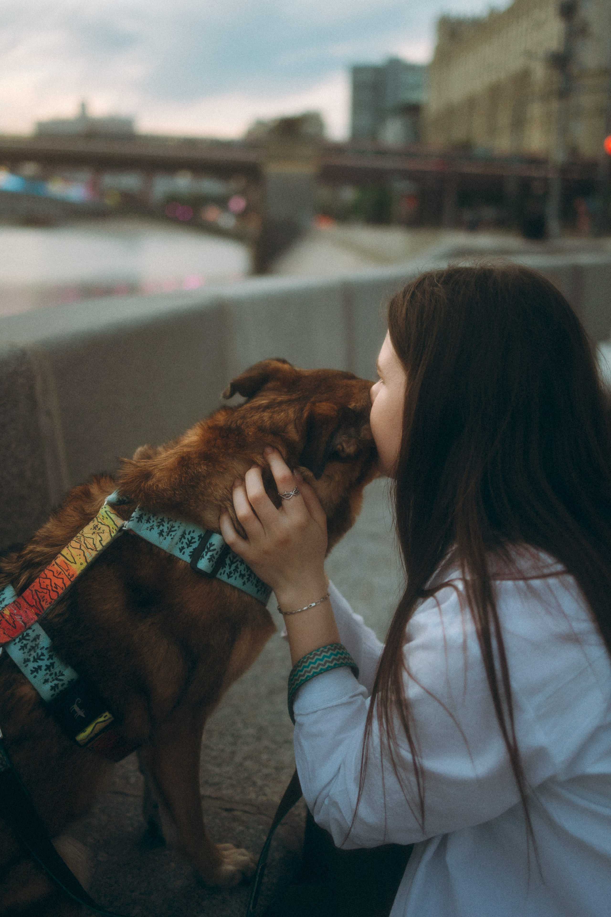 Глаша, Айрон, Ксюша и Оля. Фотограф анималист Анастасия Пикей