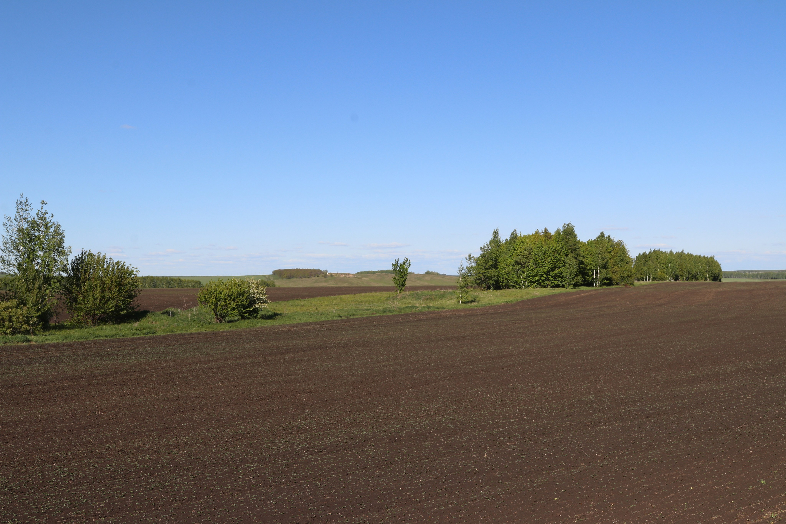 Велопоход Уфа — Мелеуз. Май 2024. Путешественник-фотограф из Санкт-Петербурга Татьяна Свистулина