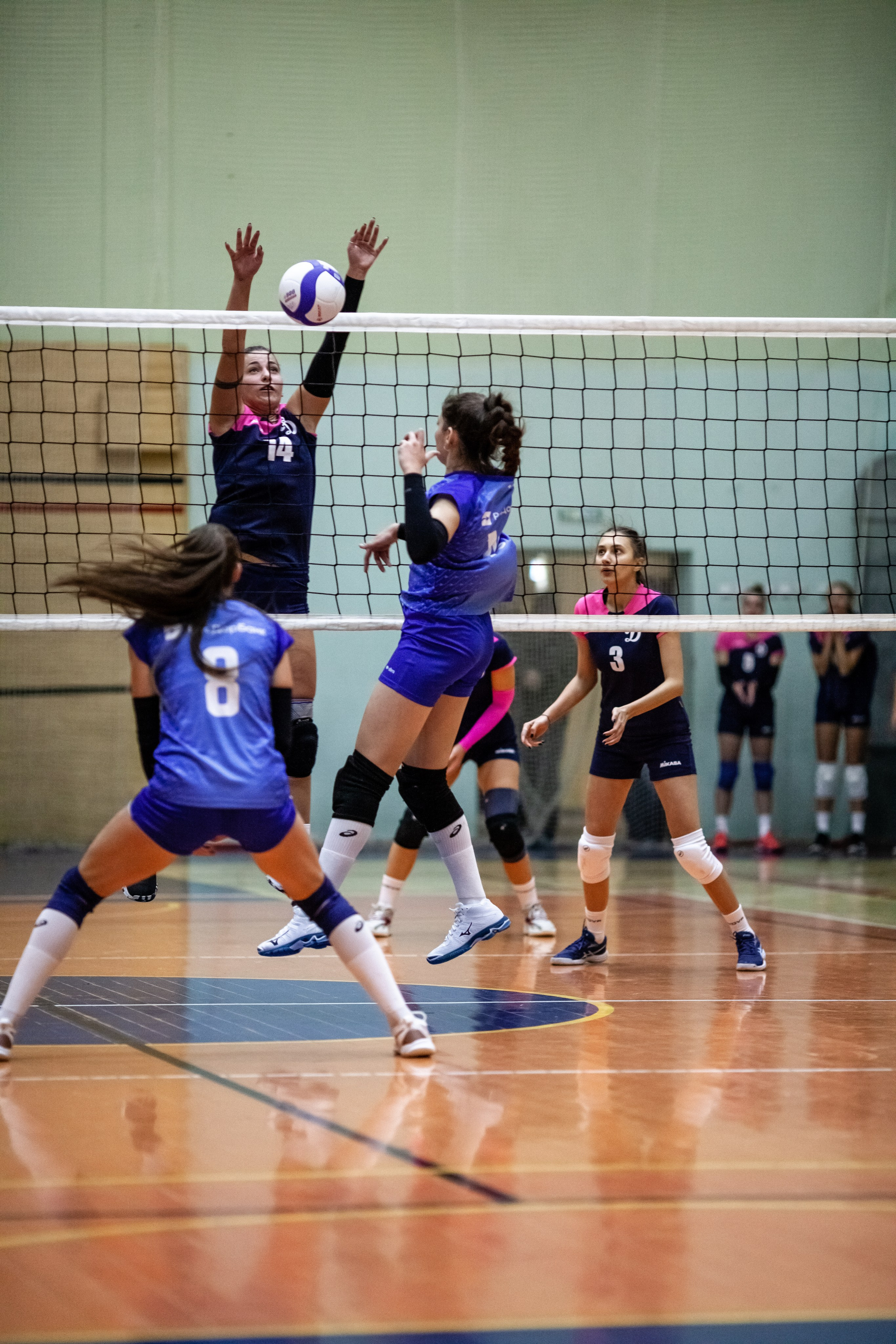 «Спартак-Чувашия» — «Динамо» Ульяновск /1 игра. Фотография