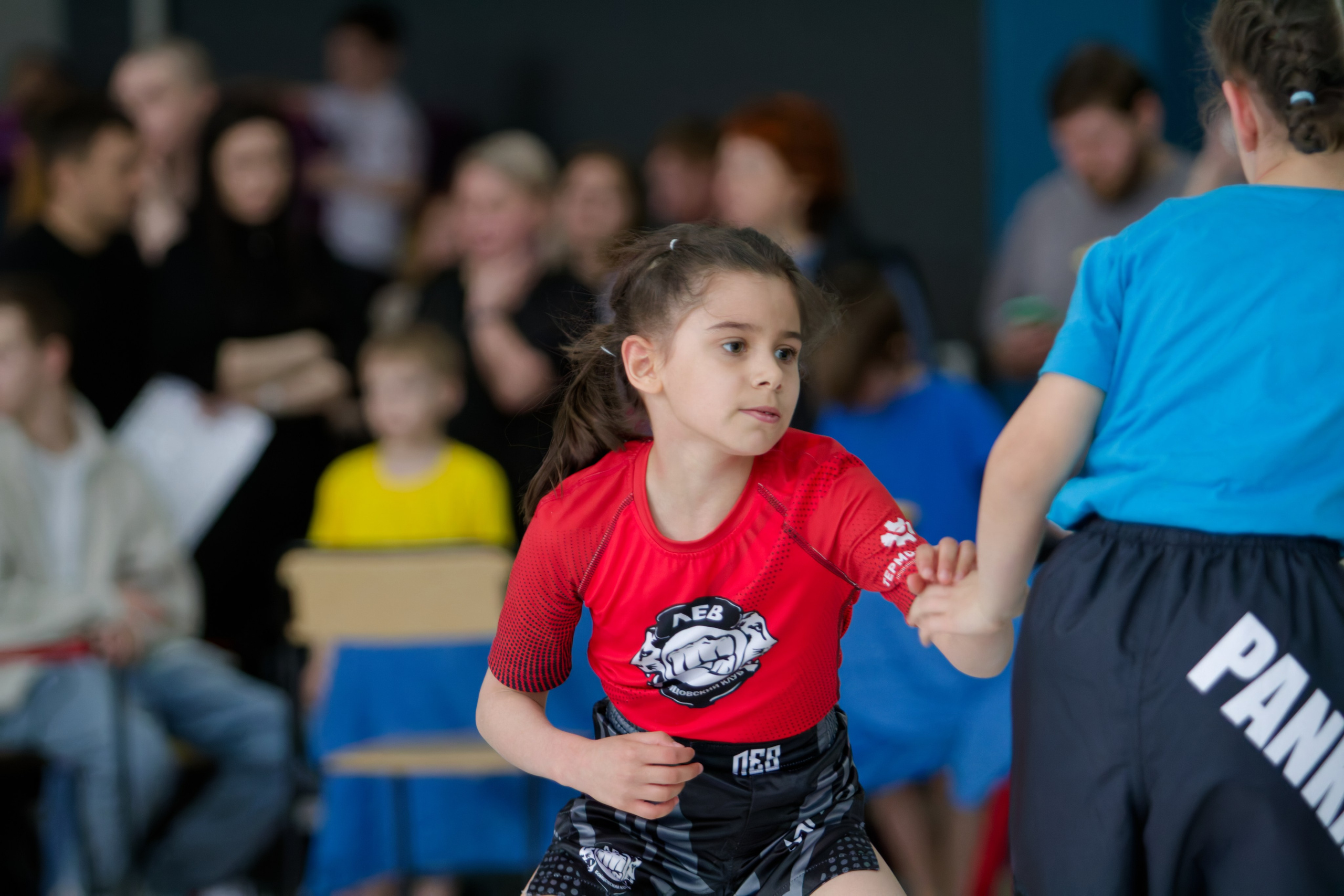 Борьба. Джиу-джитсу 26.04.2025. Репортажный и спортивный фотограф в г. Пермь Зильберг Павел