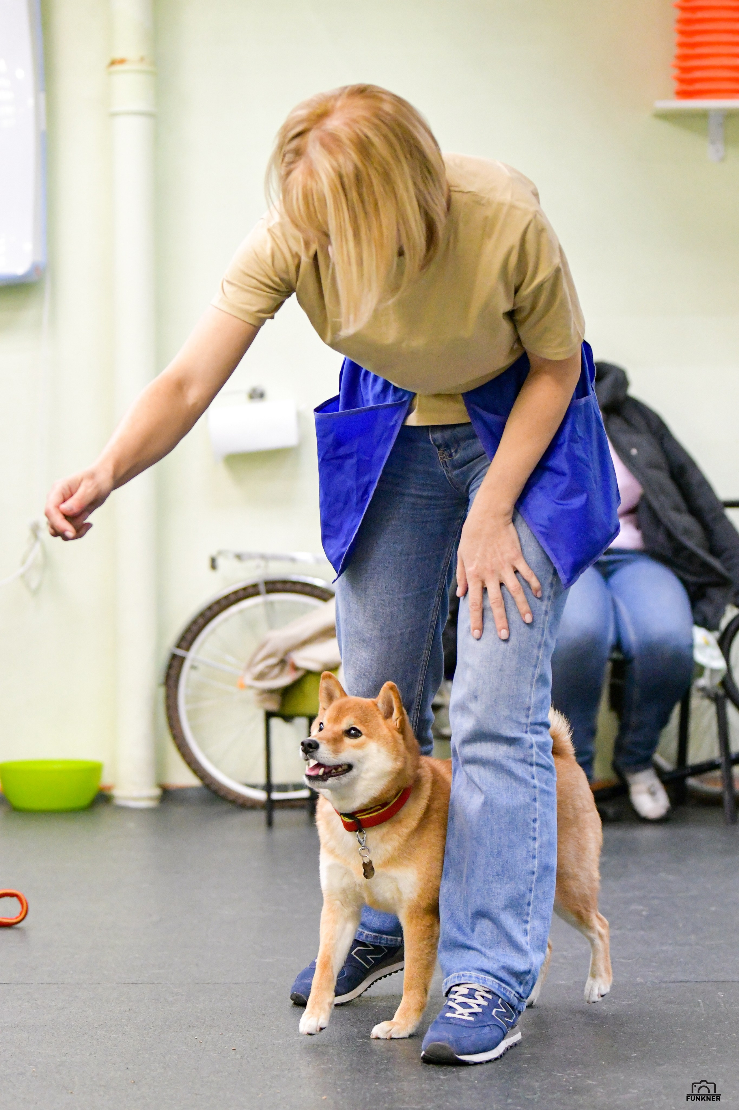 Кинологический клуб «Бодрый хвост». Свой взгляд через объектив