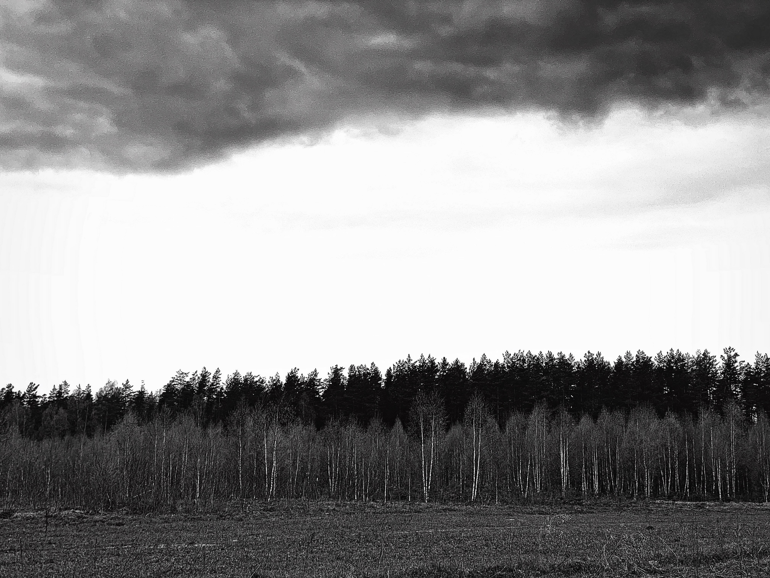 Работы с телефона. Свадебный фотограф в Москве Сафонова Анна