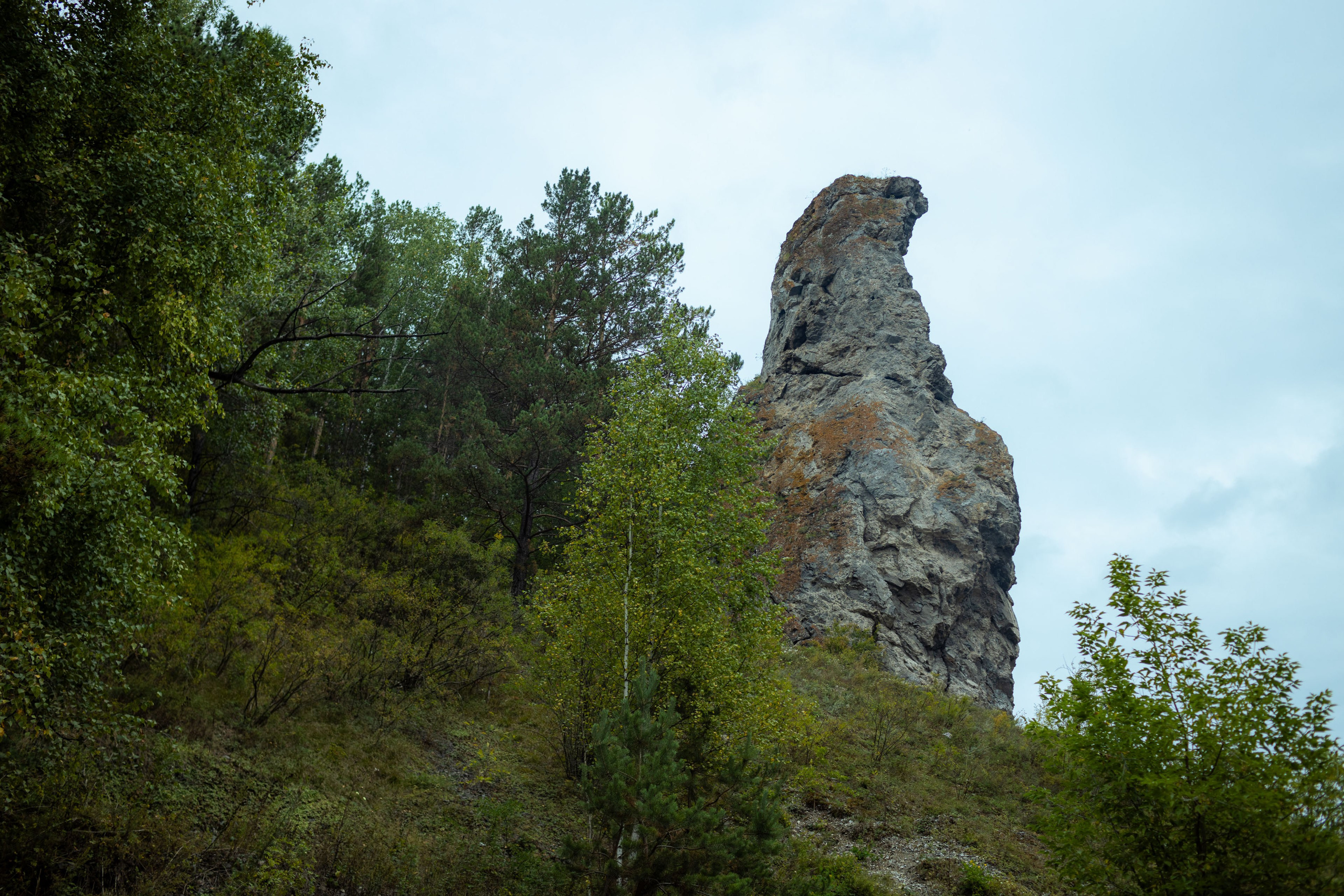 Красноярск (осень 2023). Фотограф Виноградов Константин