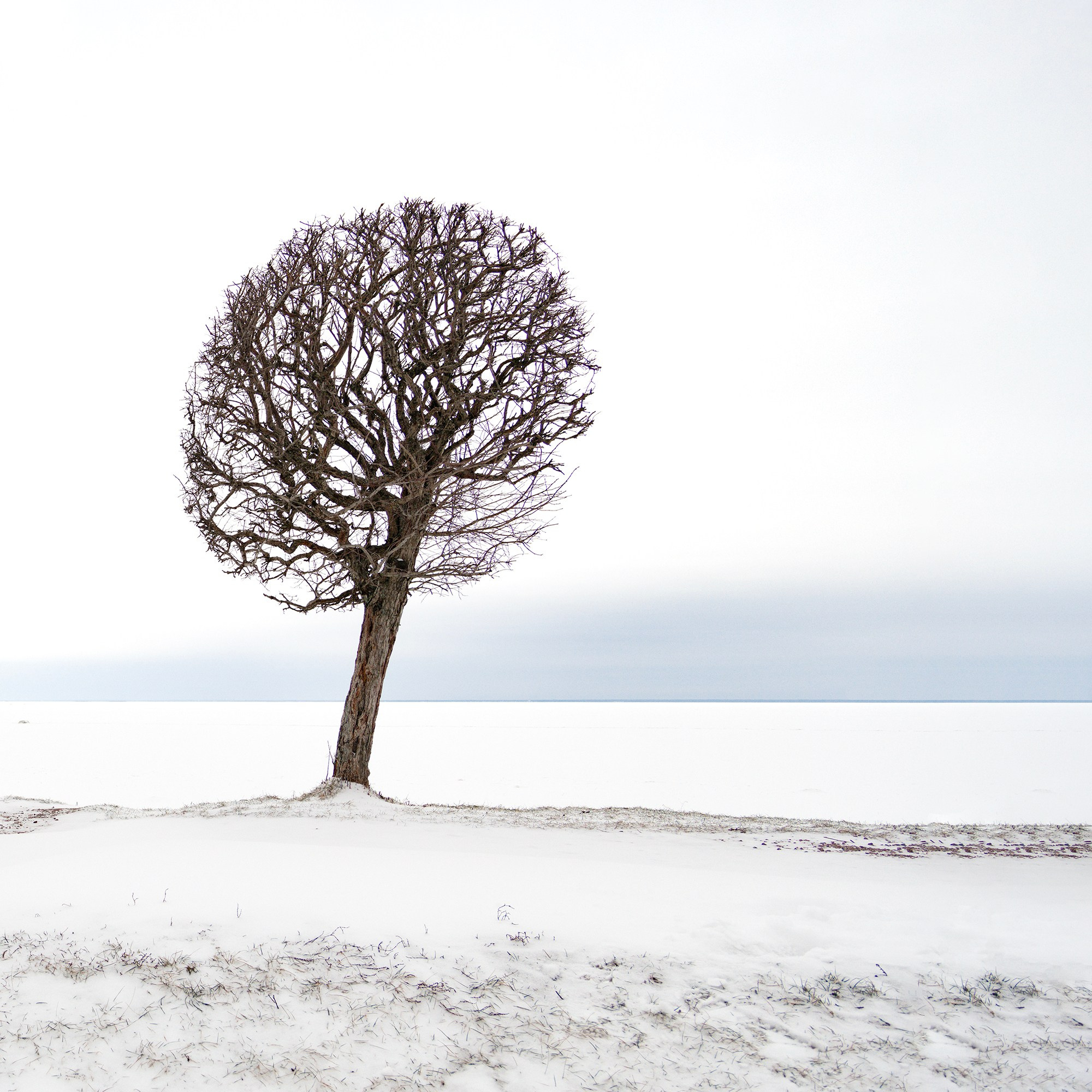 Peterhof. Vasiliy Riabovol — Fine Art Photographer | Time, Space, and Silence