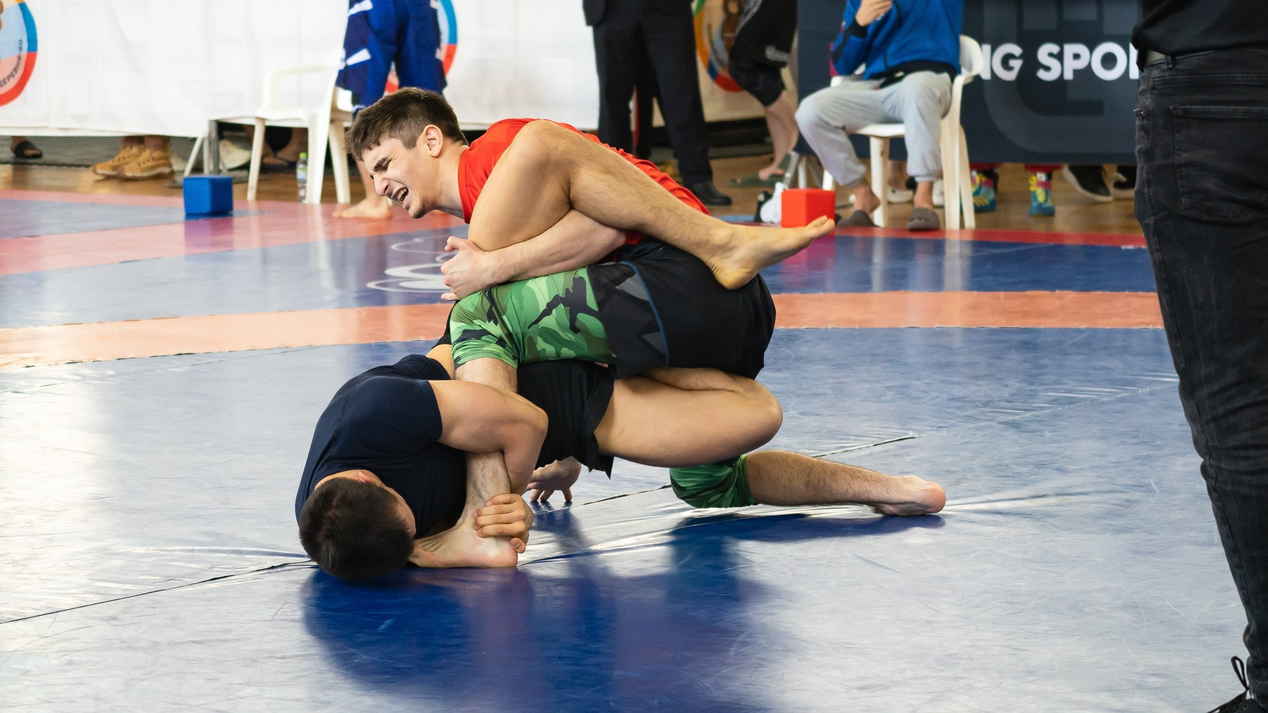 Чемпионат России по грэпплингу среди студентов 2025. Фотограф и видеооператор Екатерина Гнатюк