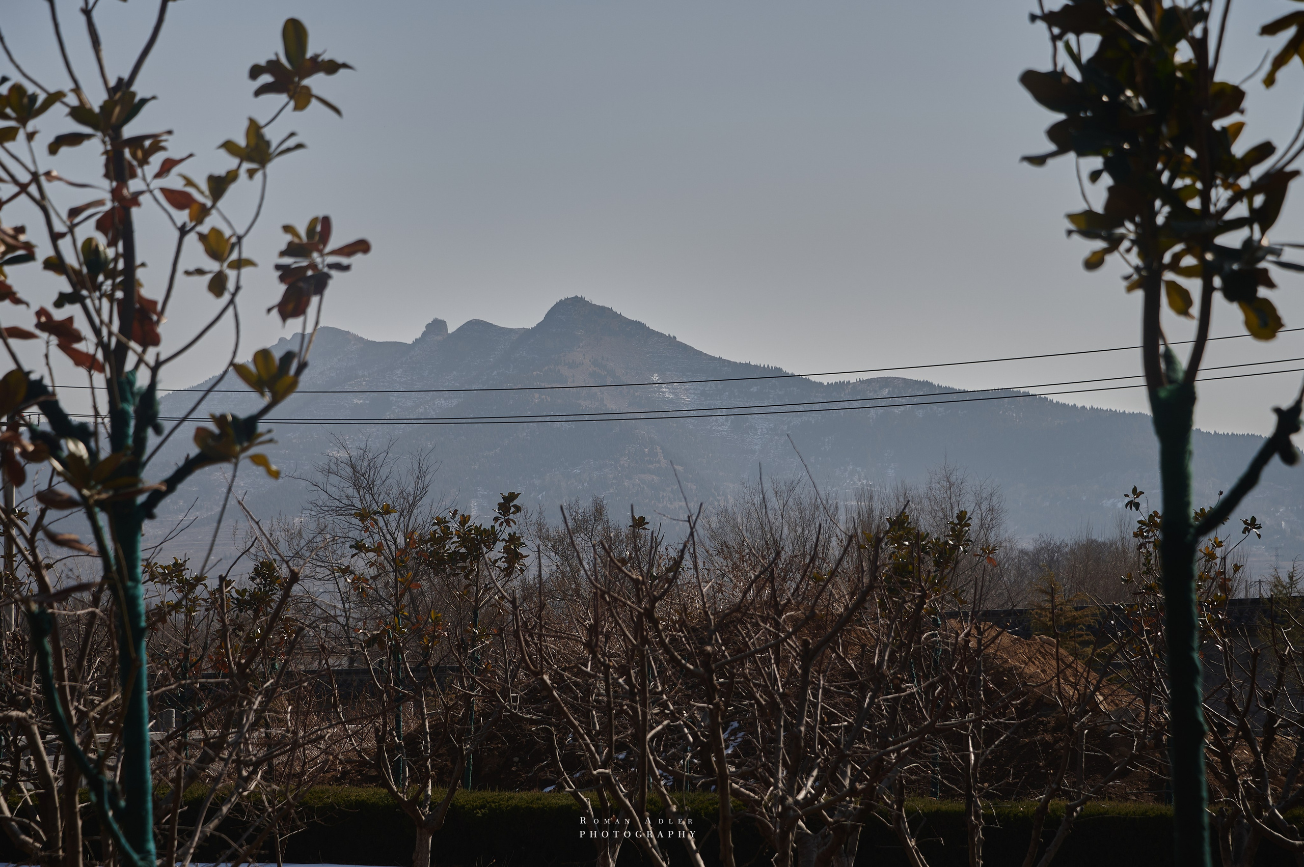 Храм Гуанфу (Процветания). Цинчжоу. Фотограф Роман Адлер