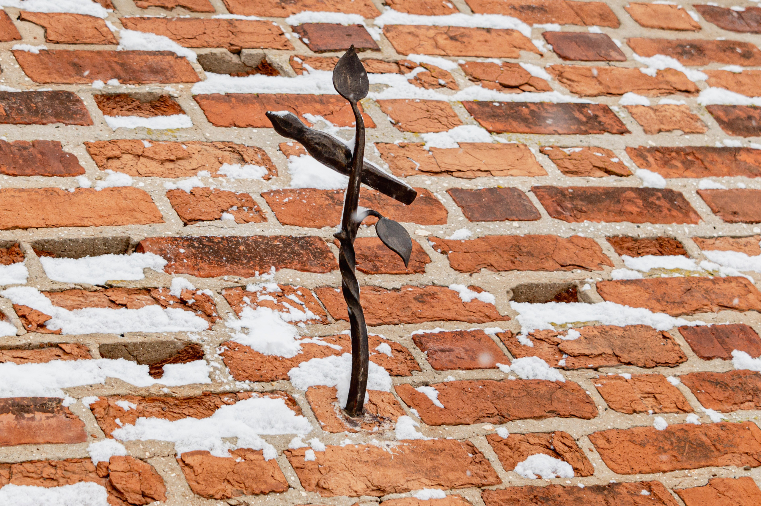 Нижний Новгород. Январь 2024. Фотограф Роман Адлер