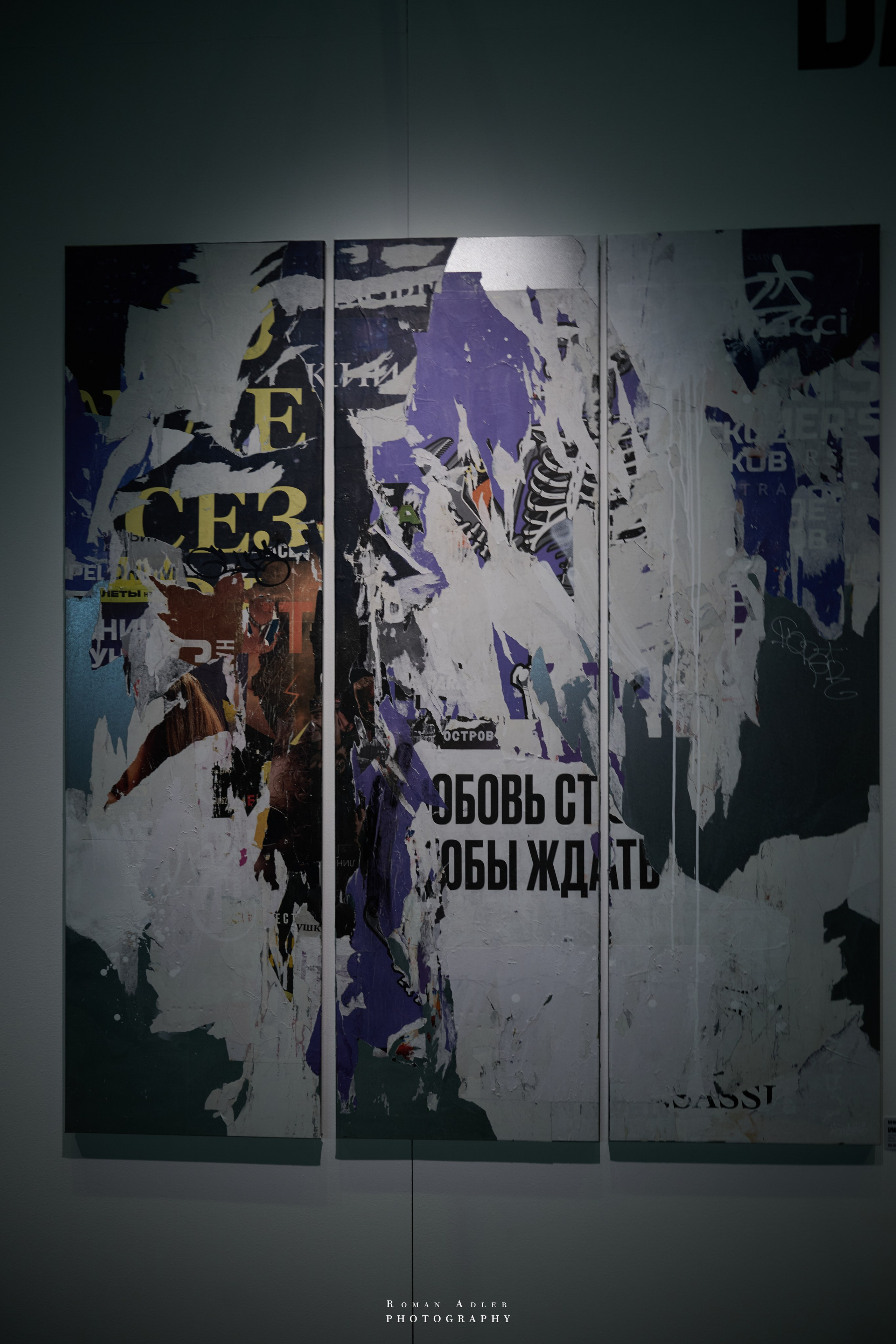 АРТ Россия 2026. Фотограф Роман Адлер