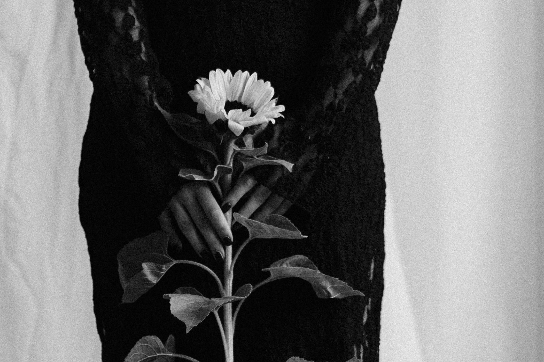 Анастасия. Свадебный фотограф Максим Яненко в Волгограде