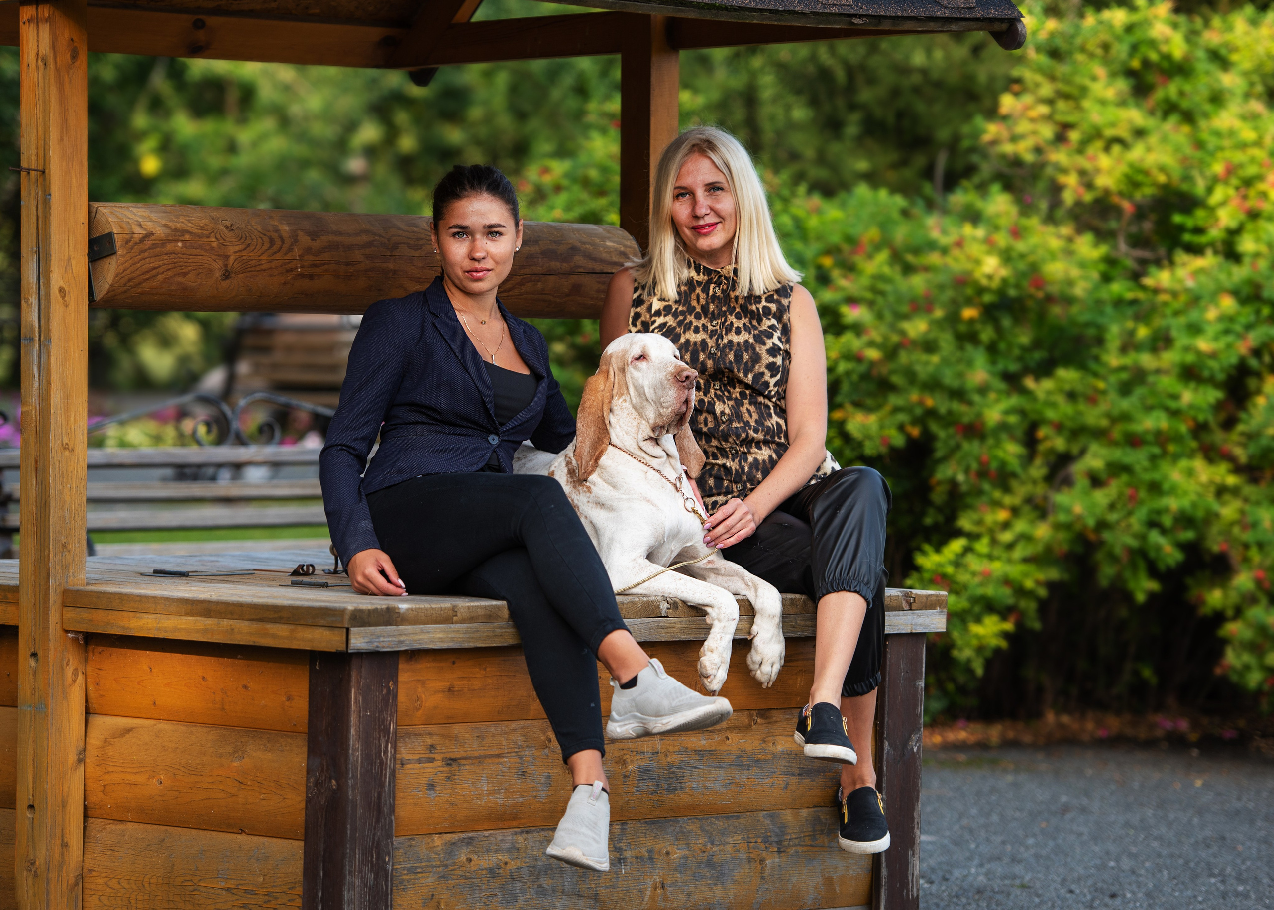 Выставка собак Тюмень 02.09.2023. Дог-фотограф в Тюмени Александра Королева