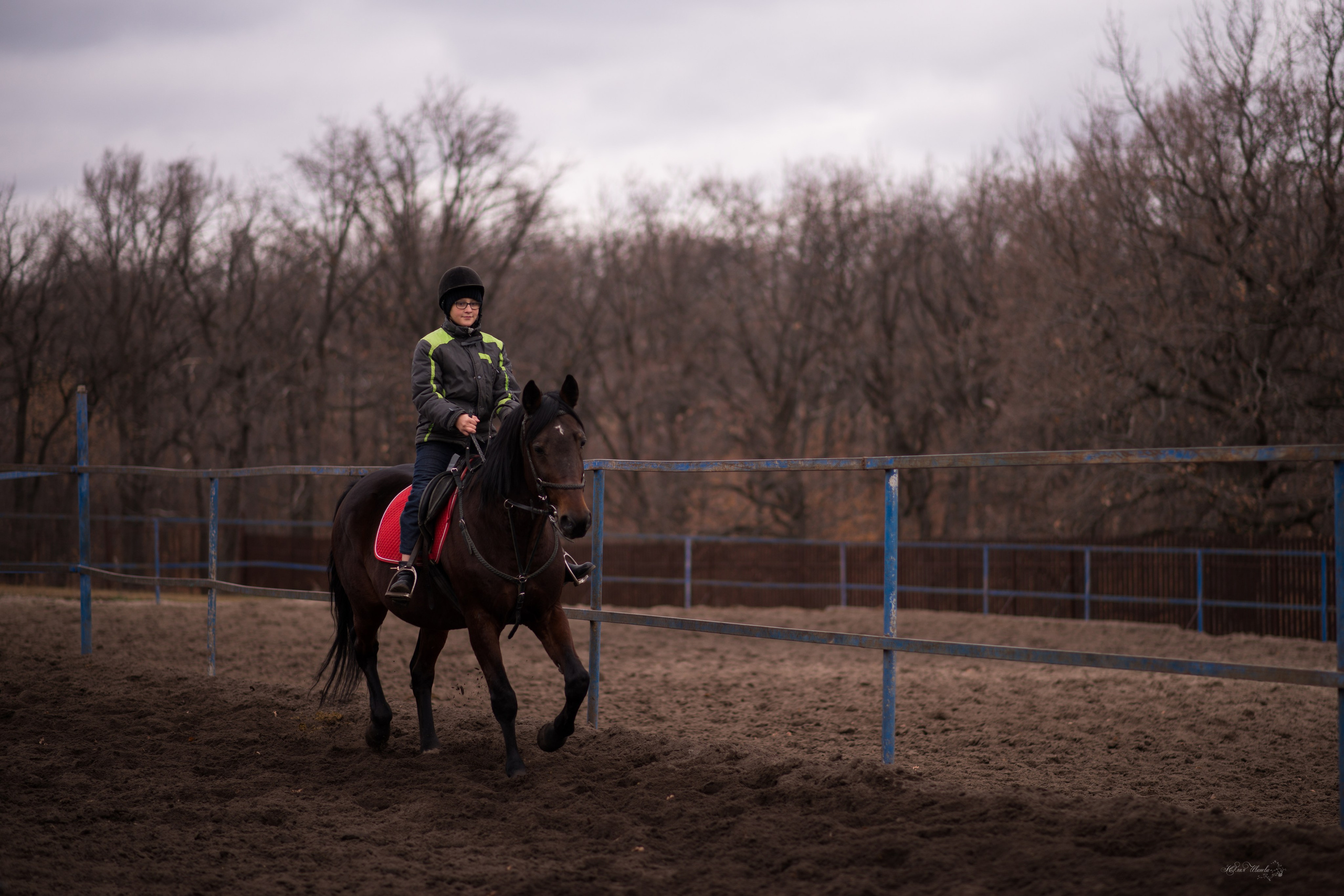 Тренировка с Гайдуком. Конный фотограф в Саратове Юлия Иванова