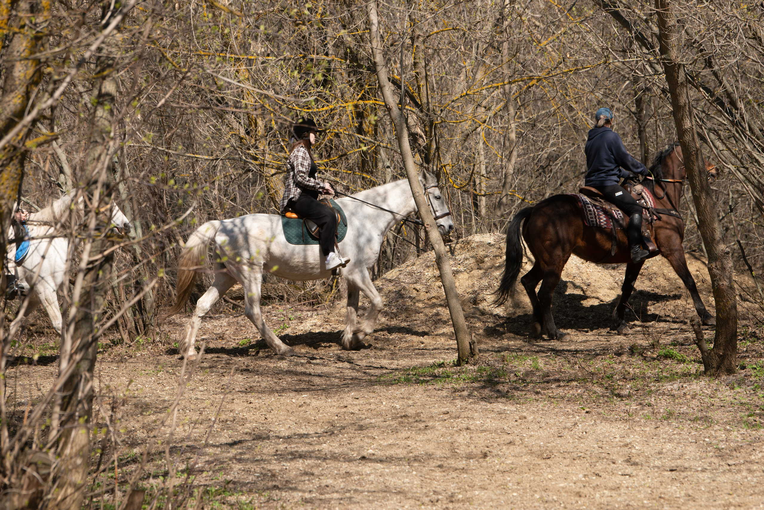 Прогулка. Конный фотограф в Саратове Юлия Иванова