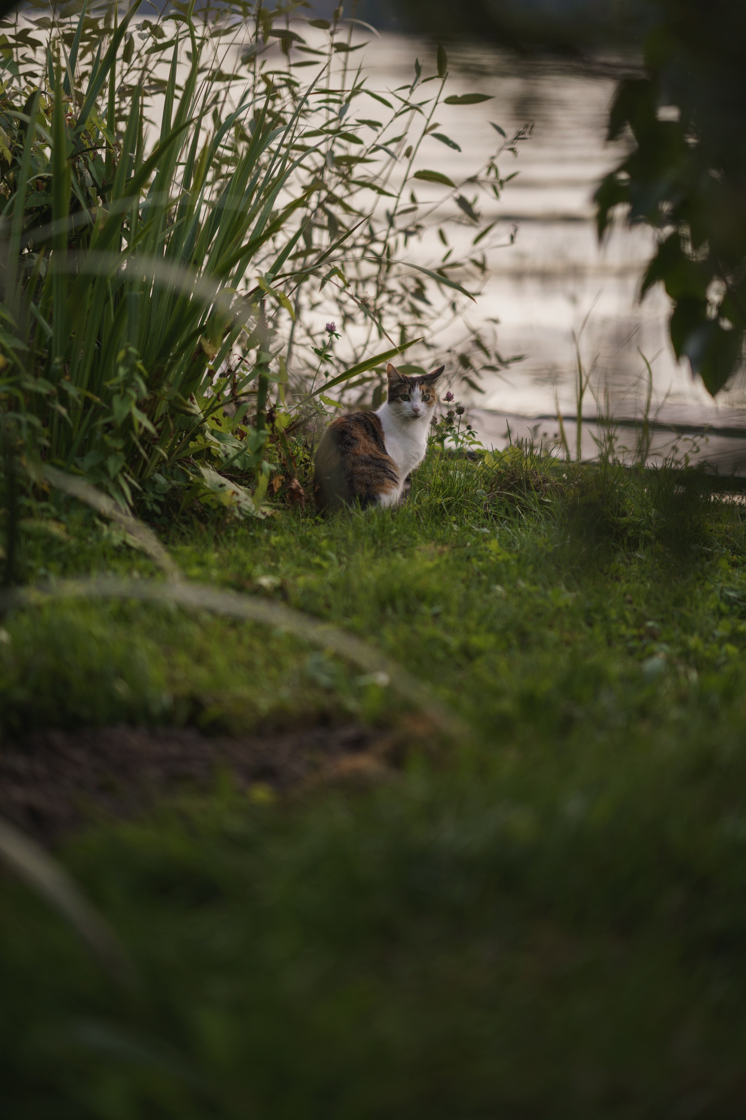 На рыбалку. Семейный и детский фотограф в Сергиев Посаде, Хотьково Якимчук Любовь