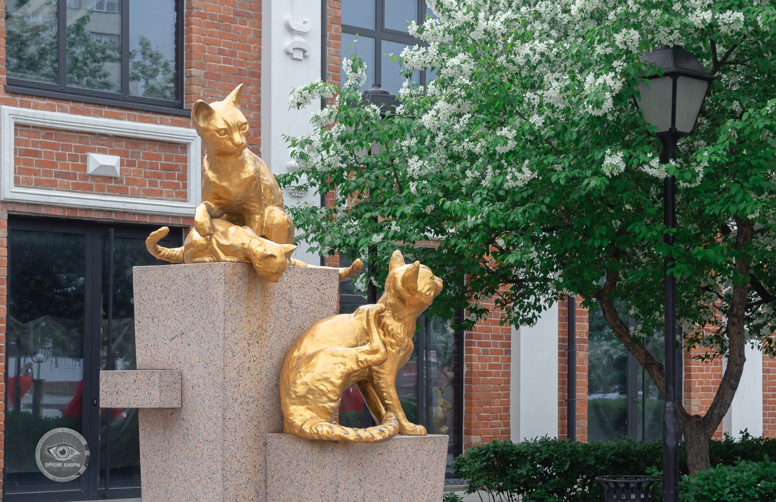 Краеведческие записки. Выпуск 1