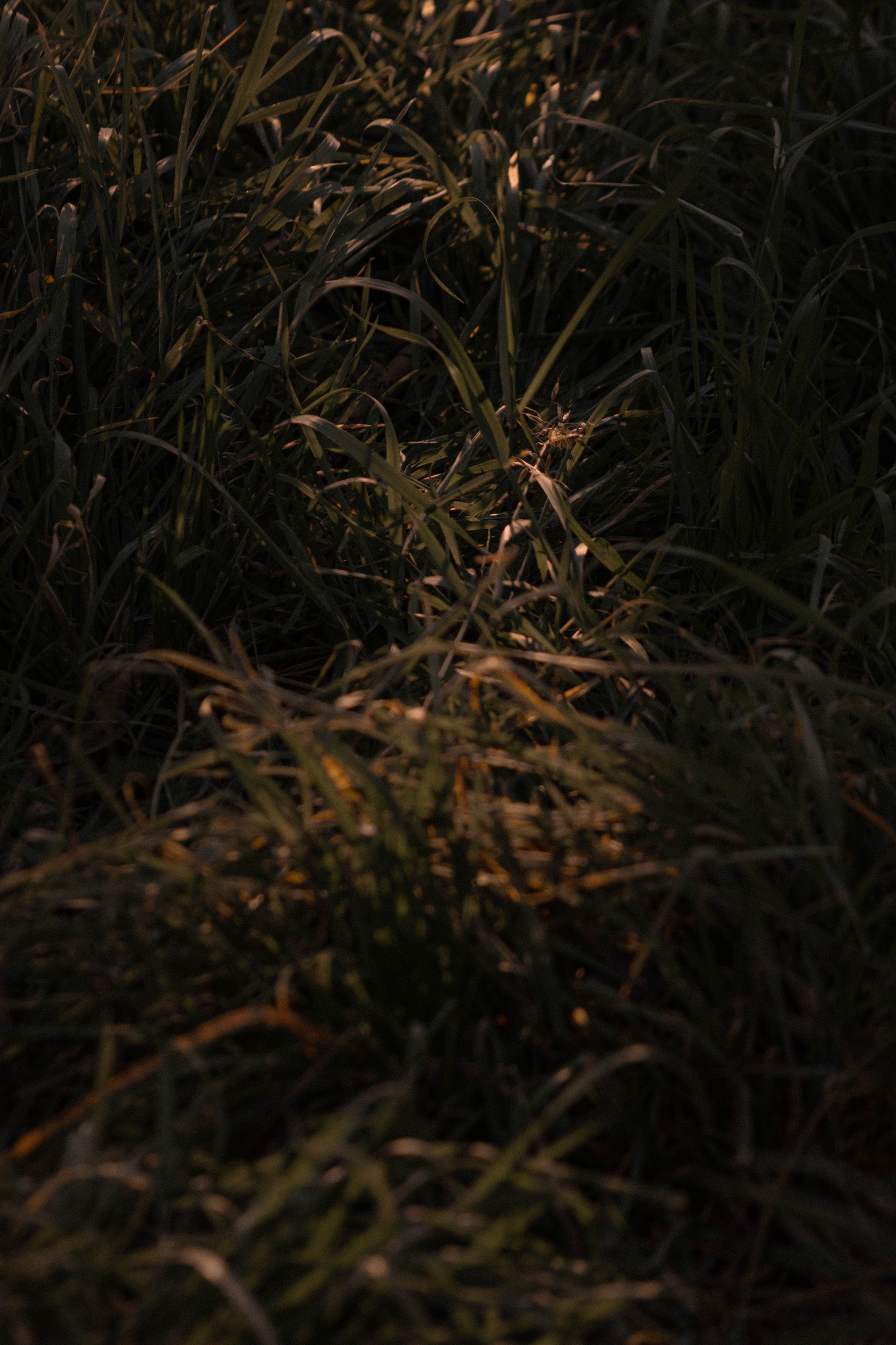 Визуальный дневник. Репортажный фотограф в Алматы Цой Сергей