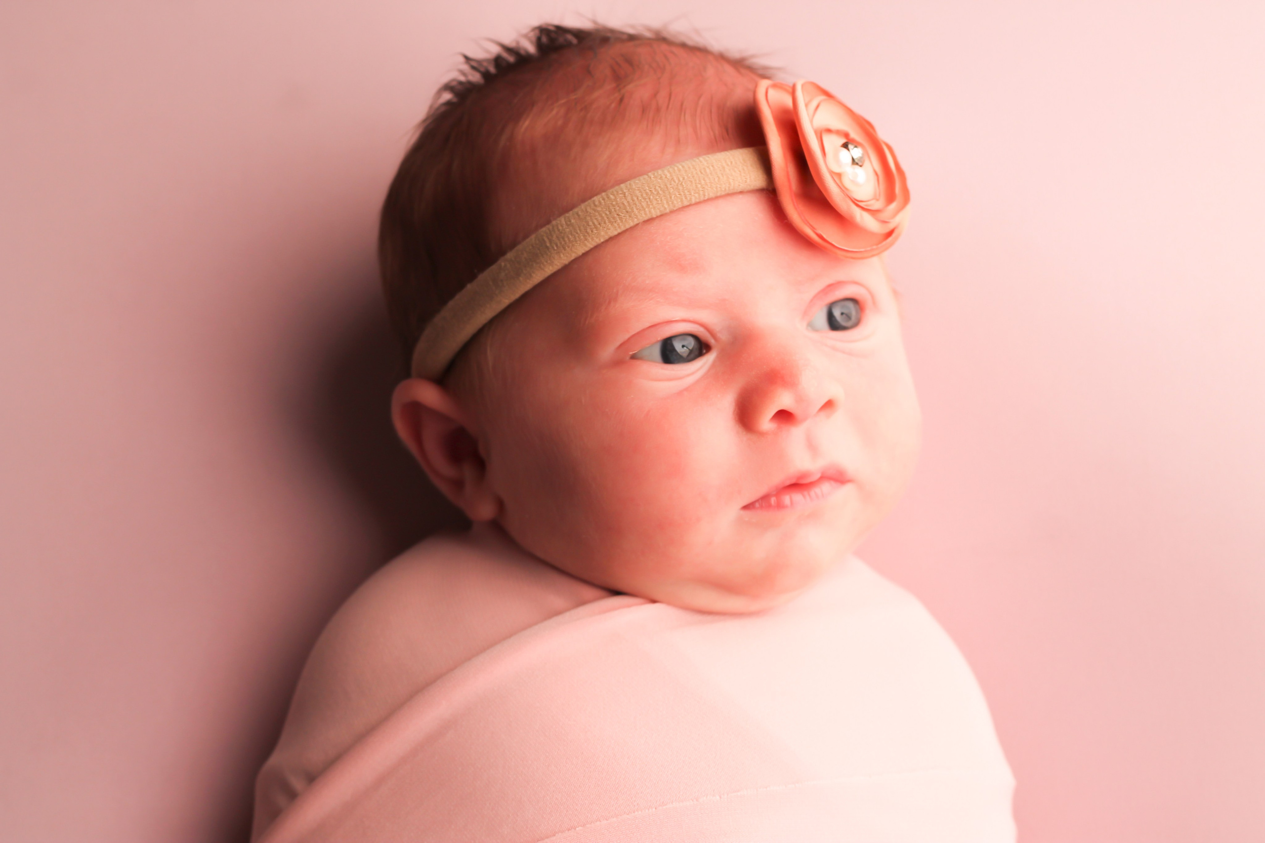 Newborn. Photograper Israel/фотограф Израиль. ALINA TARAN