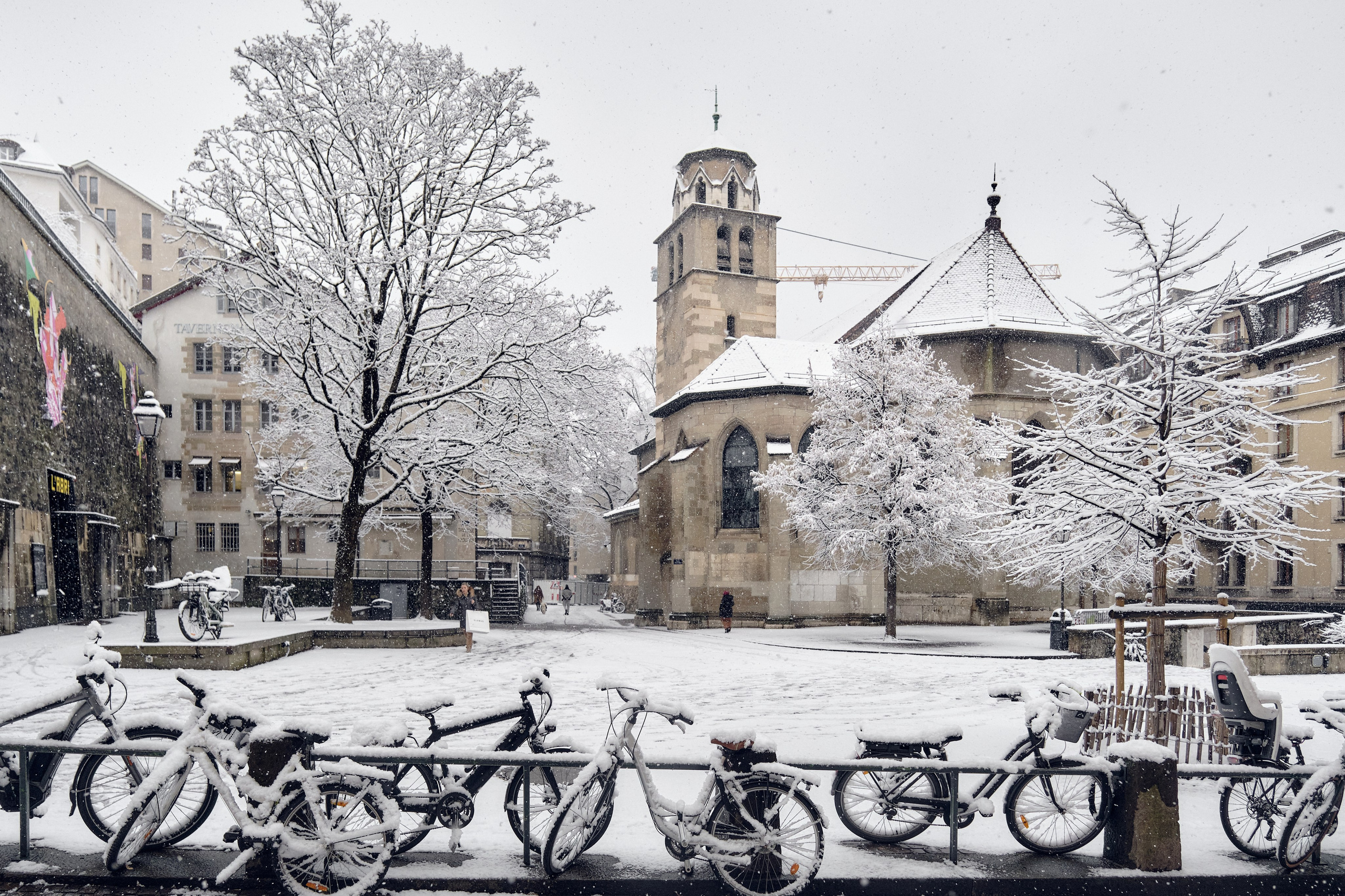 Geneva / winter 2024. Aleksandr Kobtsev