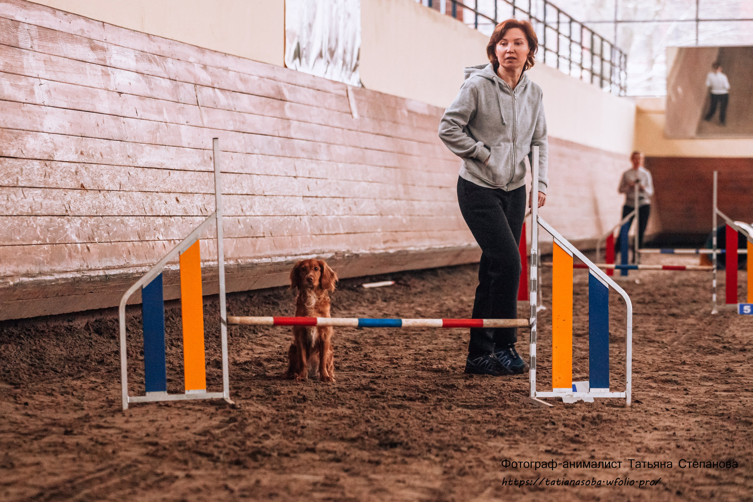 Соревнования по Аджилити 25.02.2024. Фотограф-анималист Татьяна Степанова