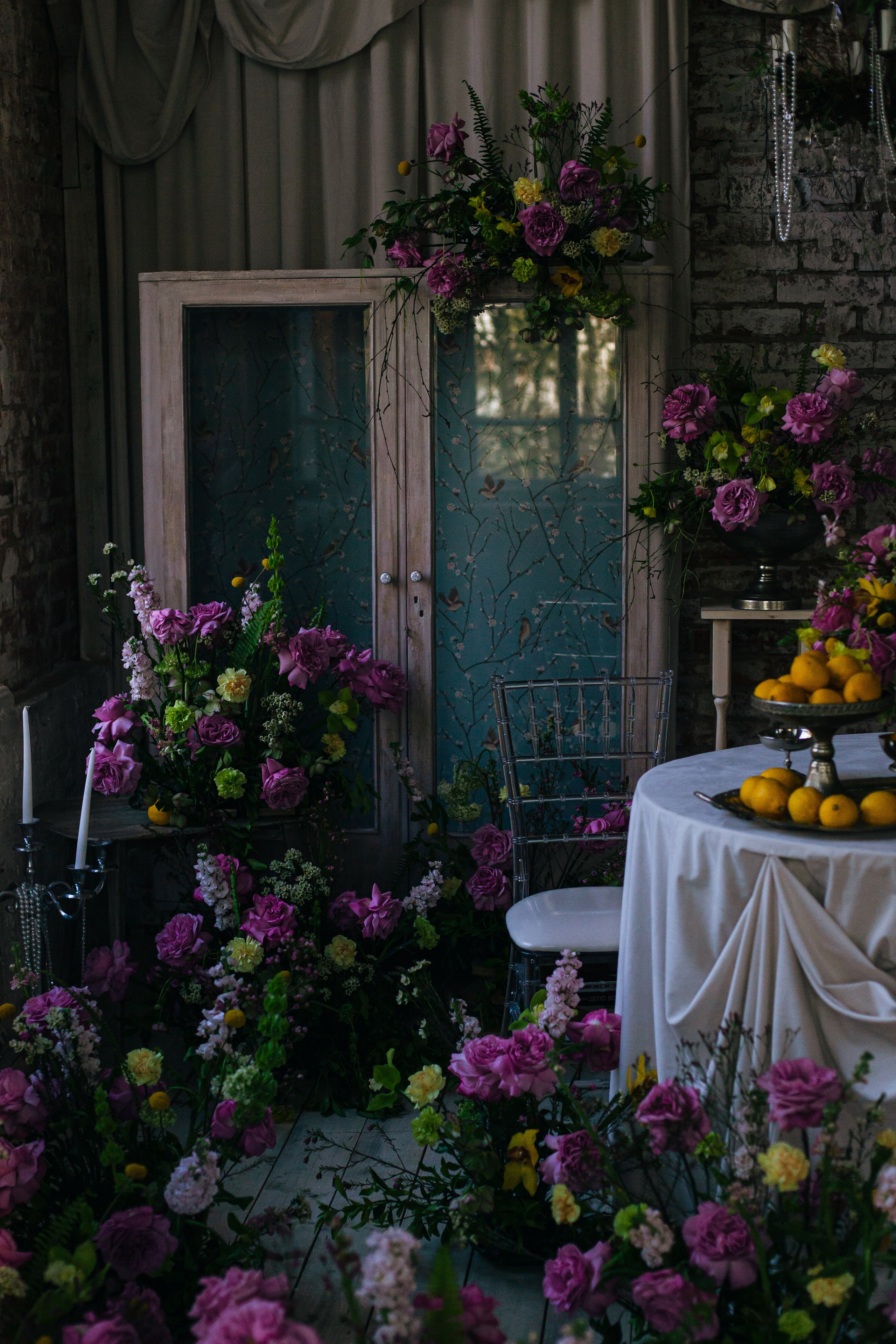 Наталья и Фрося. Фотограф-анималист Татьяна Степанова