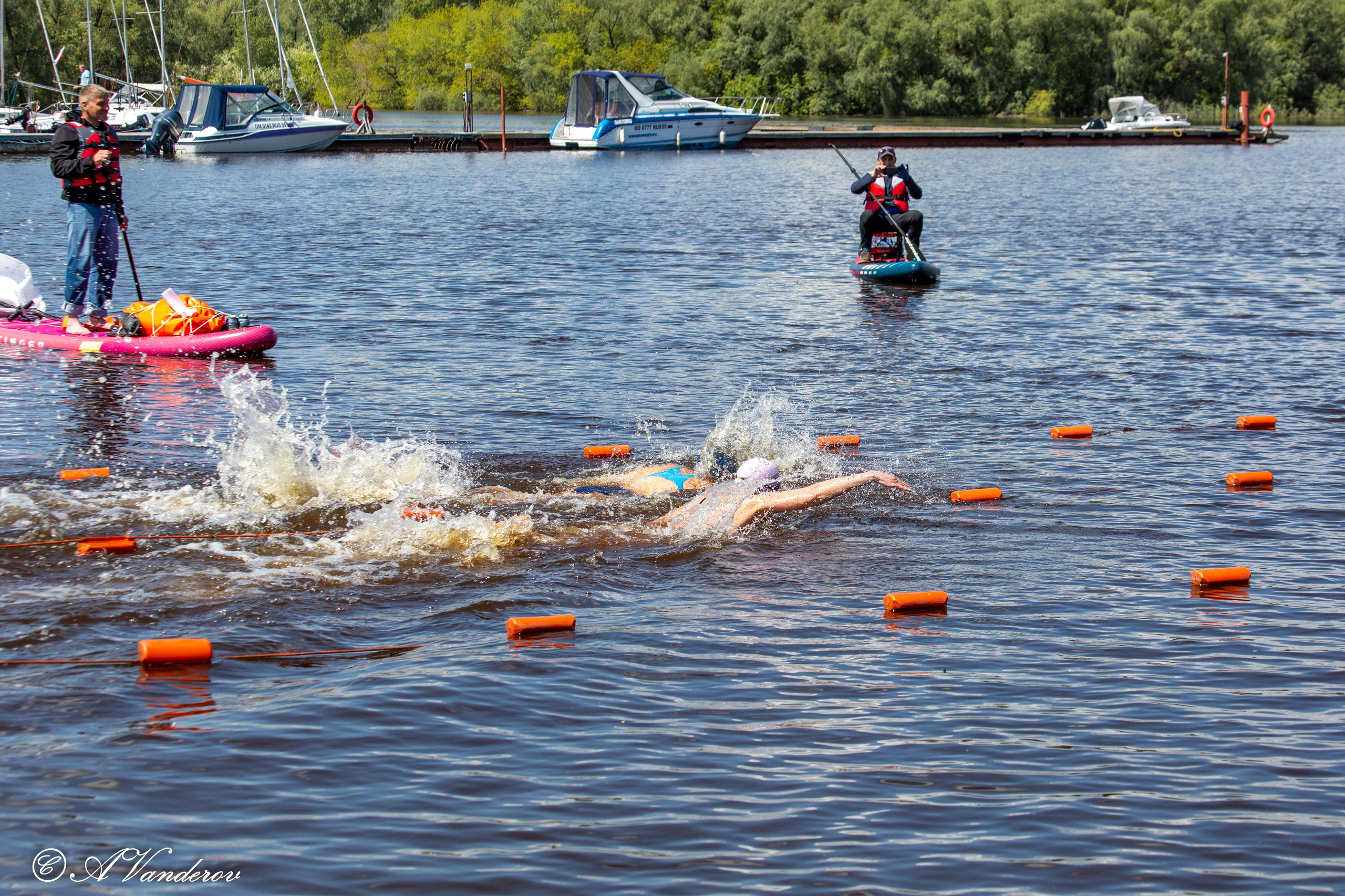 Заплыв 02.06.2024. Фотограф Омск | Александр Вандеров