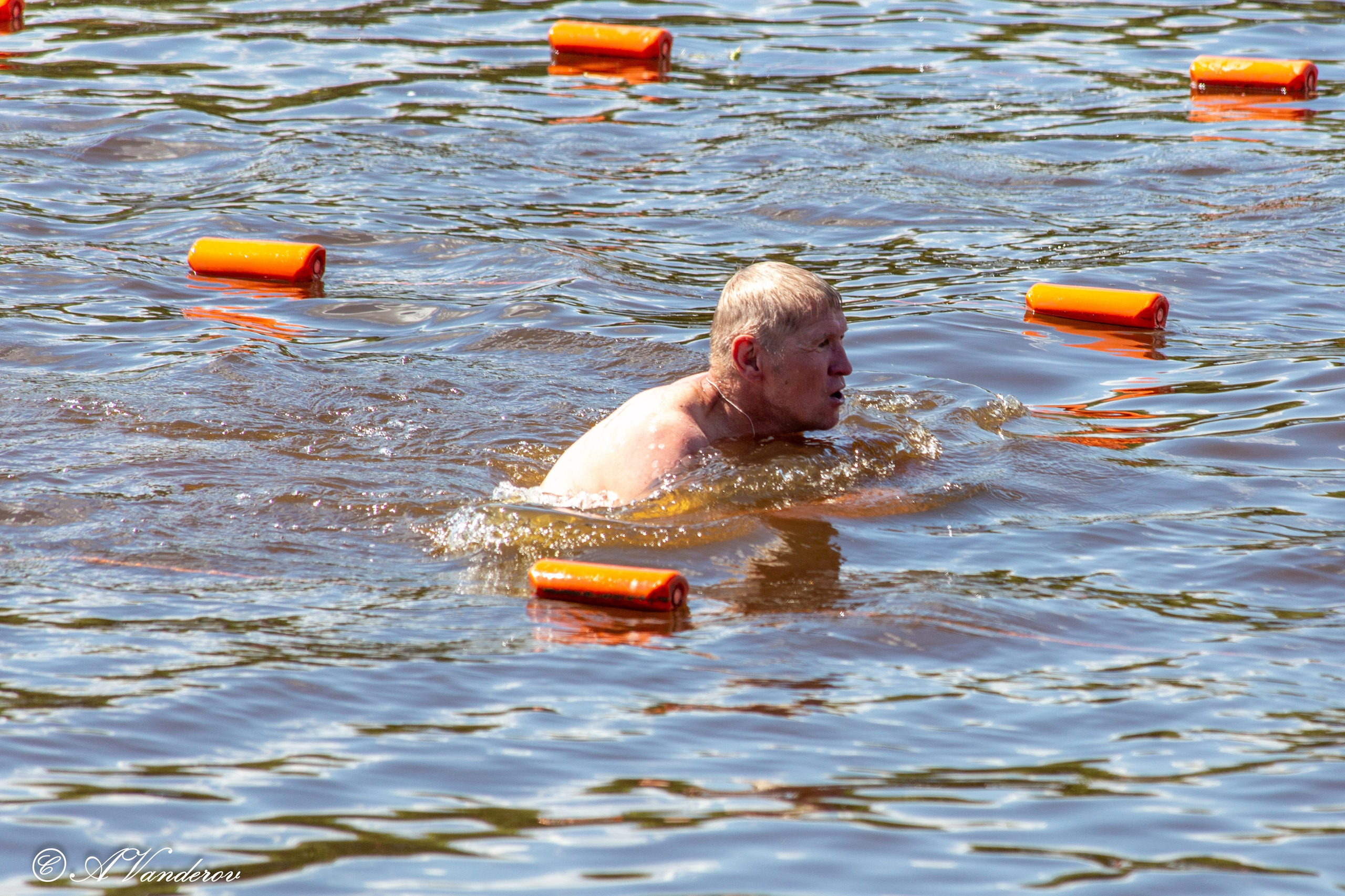 Заплыв 02.06.2024. Фотограф Омск | Александр Вандеров