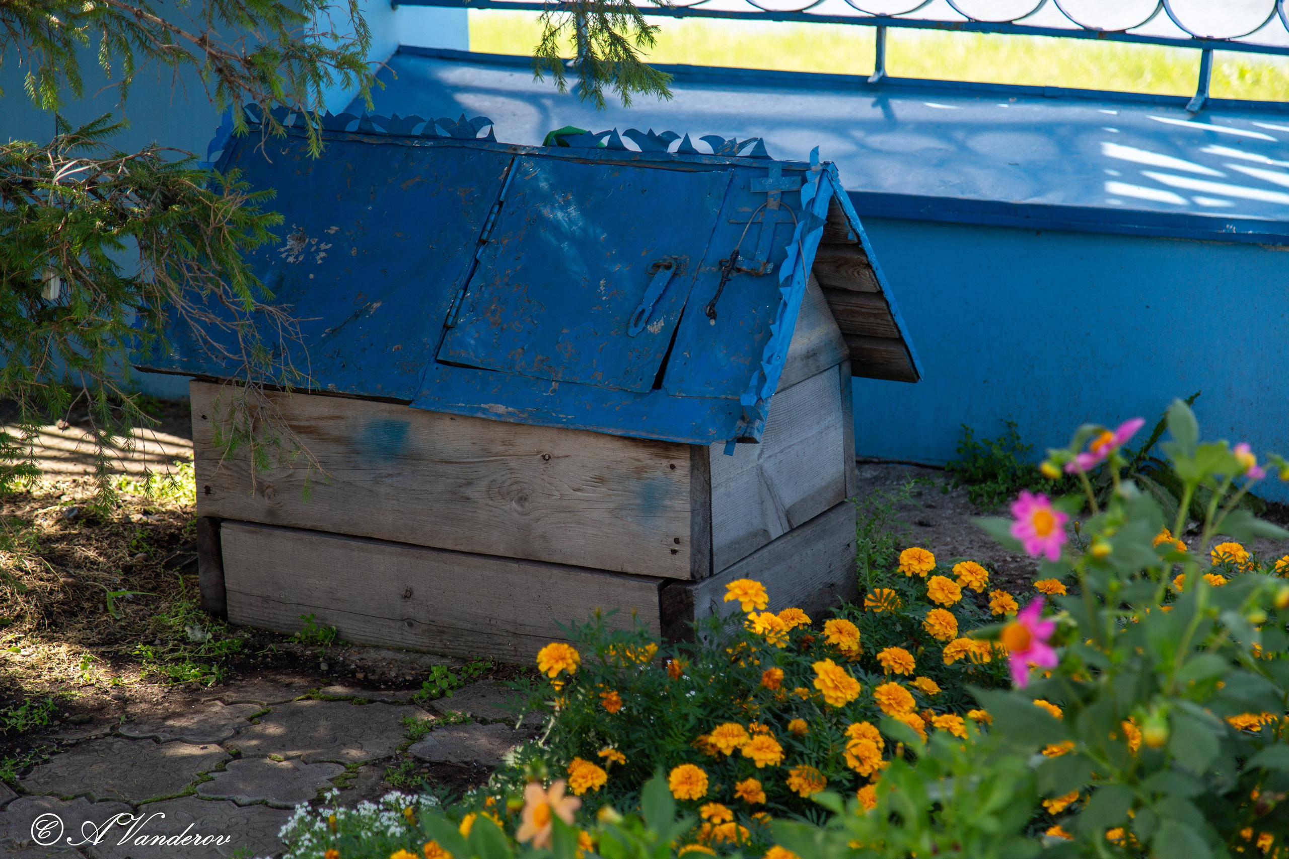 Храм Казанской иконы Божией Матери Тельма. Фотограф Омск | Александр Вандеров