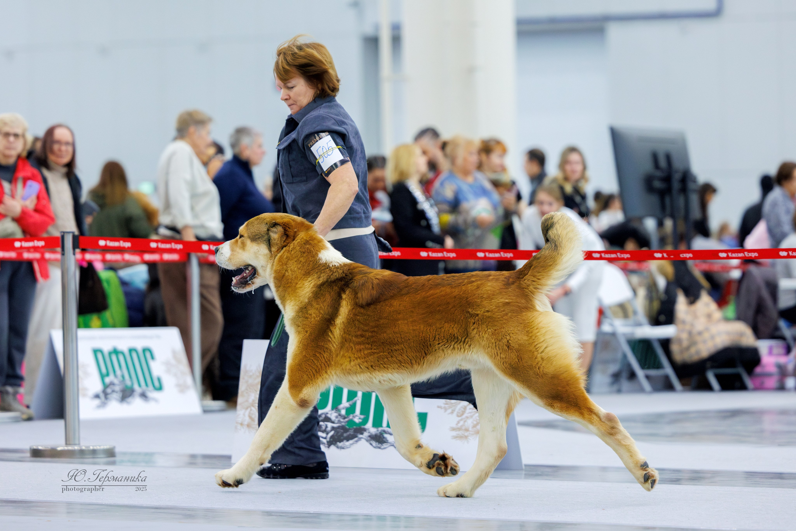 Сабанеевка Казань 25-26.01.2025. Фотограф-анималист Юлия Германика