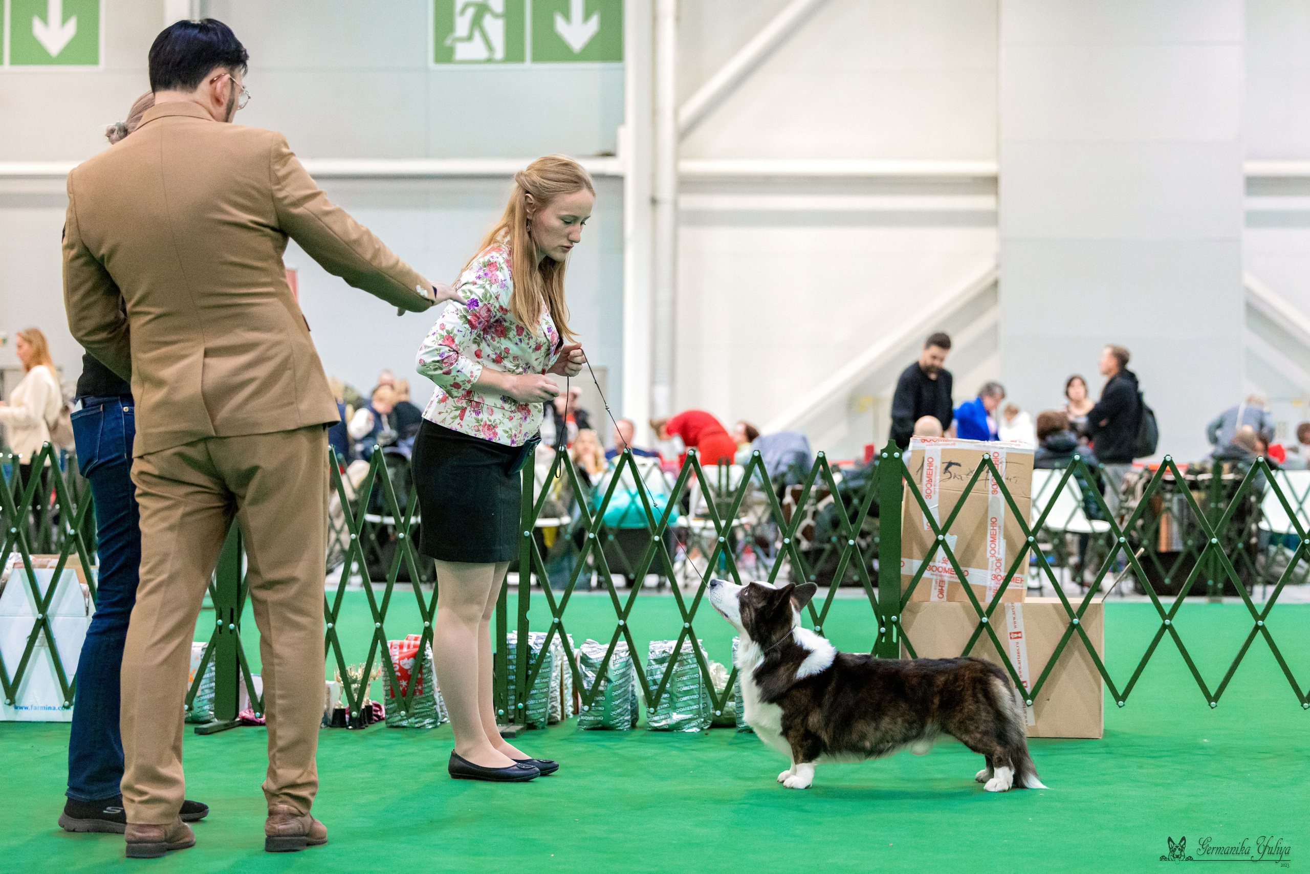 Сфера 29.10,Крокус 4.11,Сфера 12.11.2023. Фотограф-анималист Юлия Германика