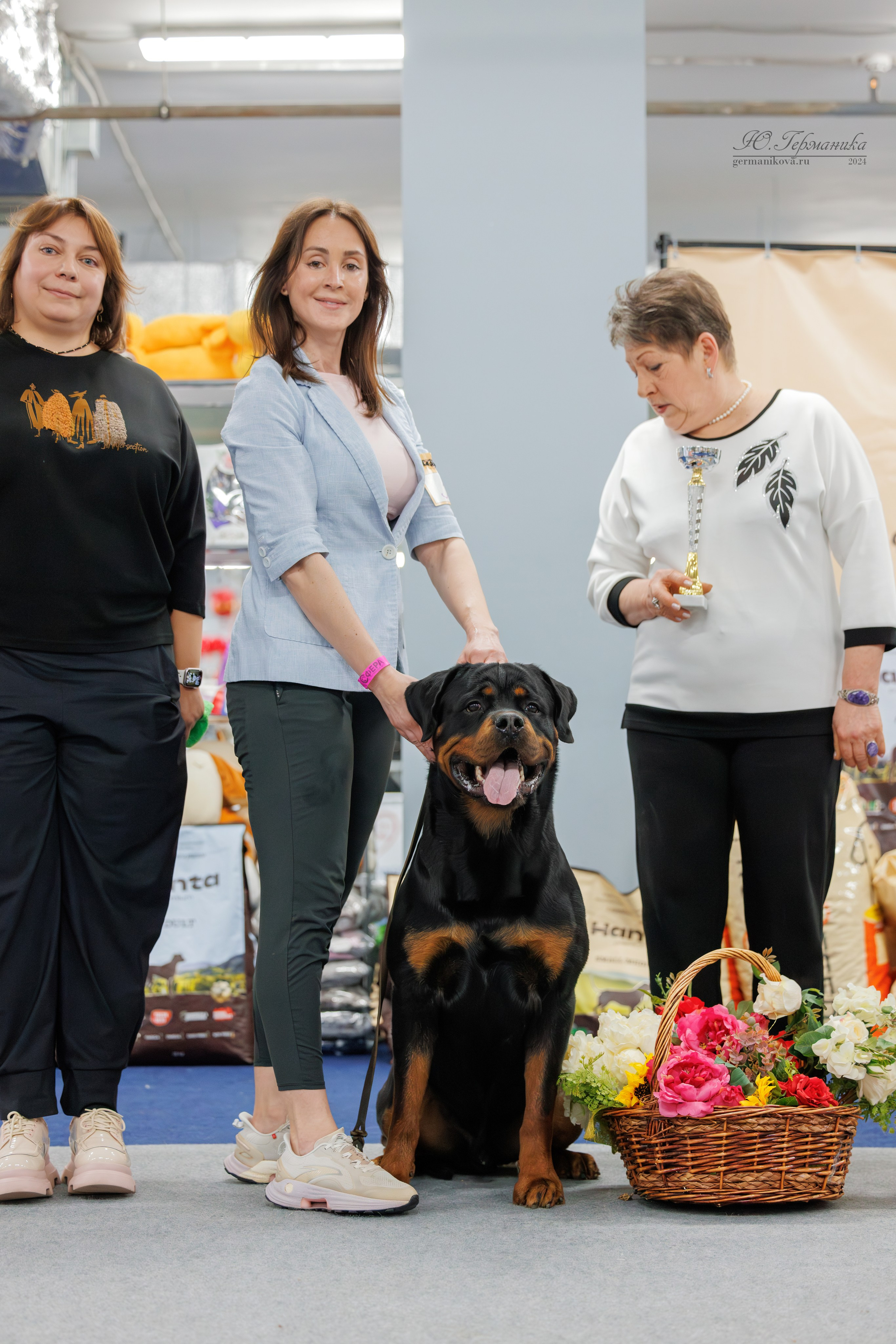 Сфера и Крокус 8,9,16 и 30.03.2025. Фотограф-анималист Юлия Германика