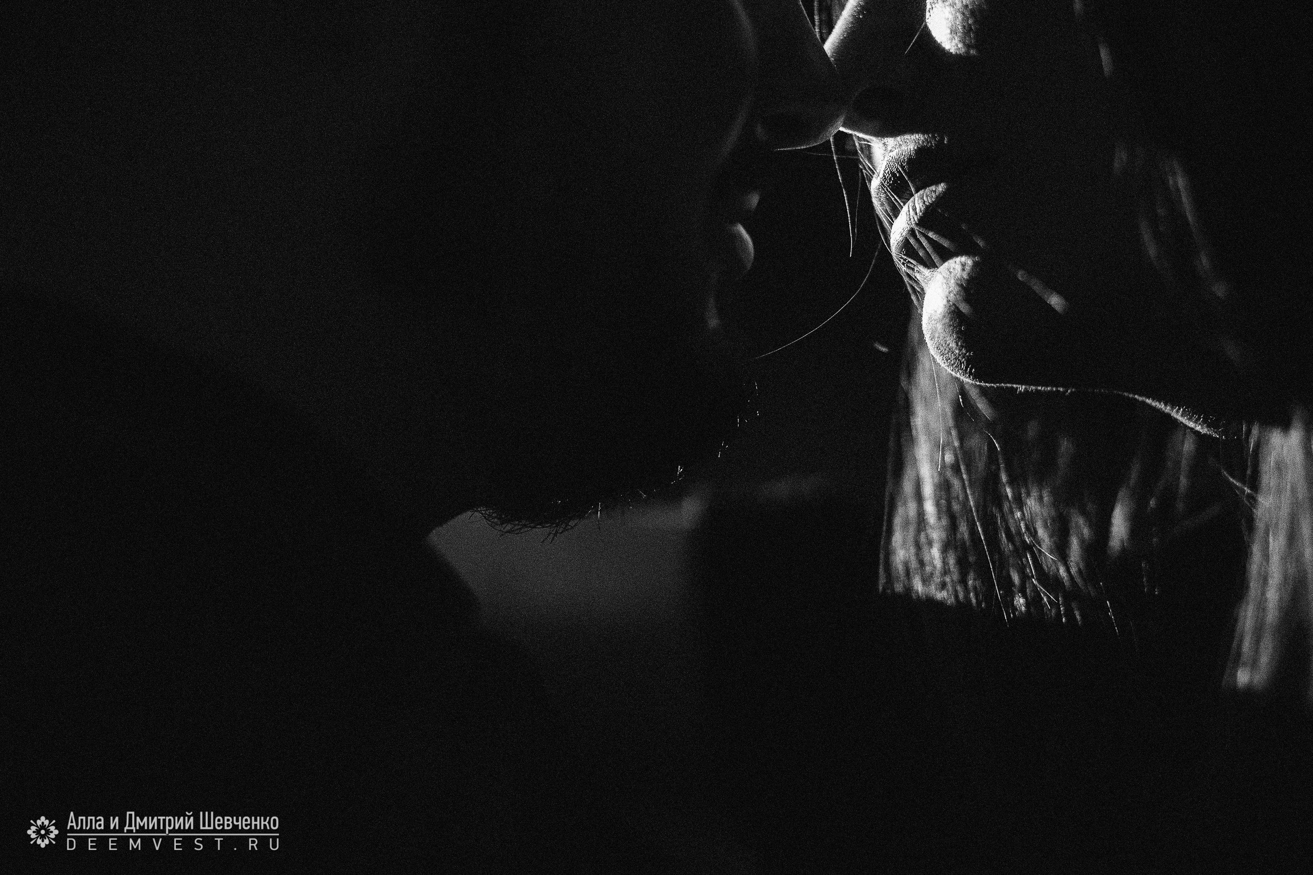 Прогулка по центру Майкопа. Дмитрий Шевченко свадебное фото в г. Краснодар — Армавир — Лабинск