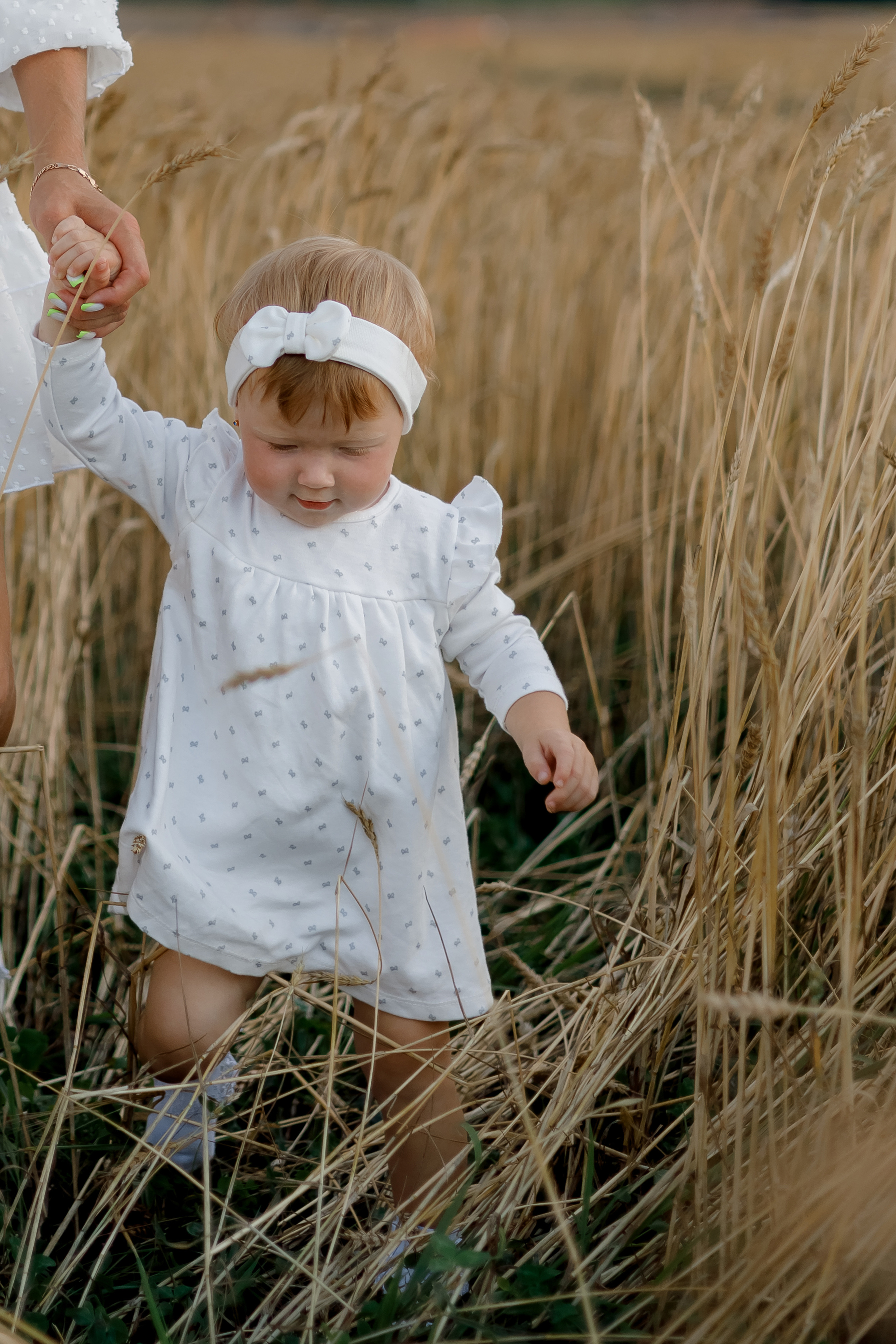 Семейные. Главная