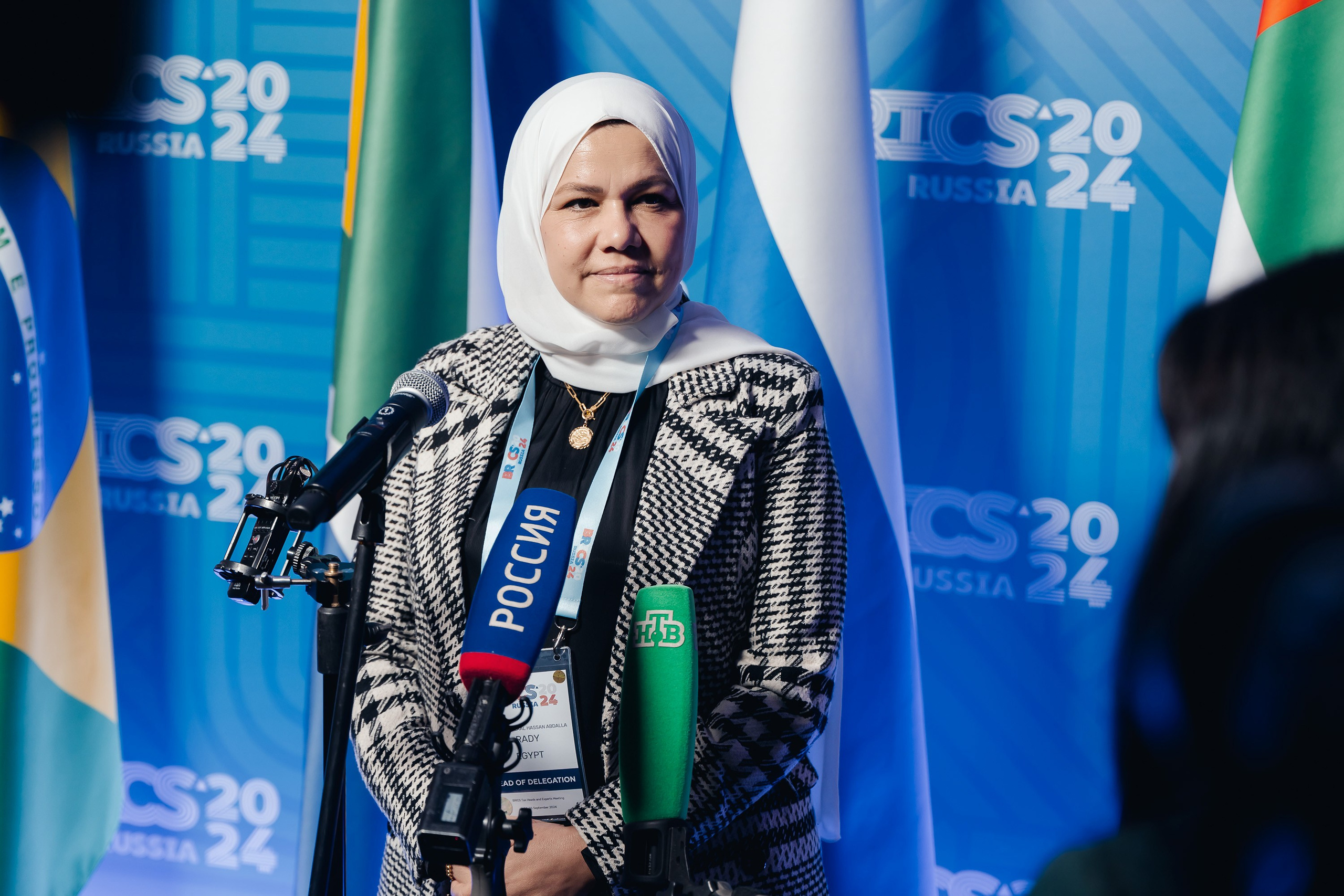 БРИКС ФНС. Parezhevphoto.ru